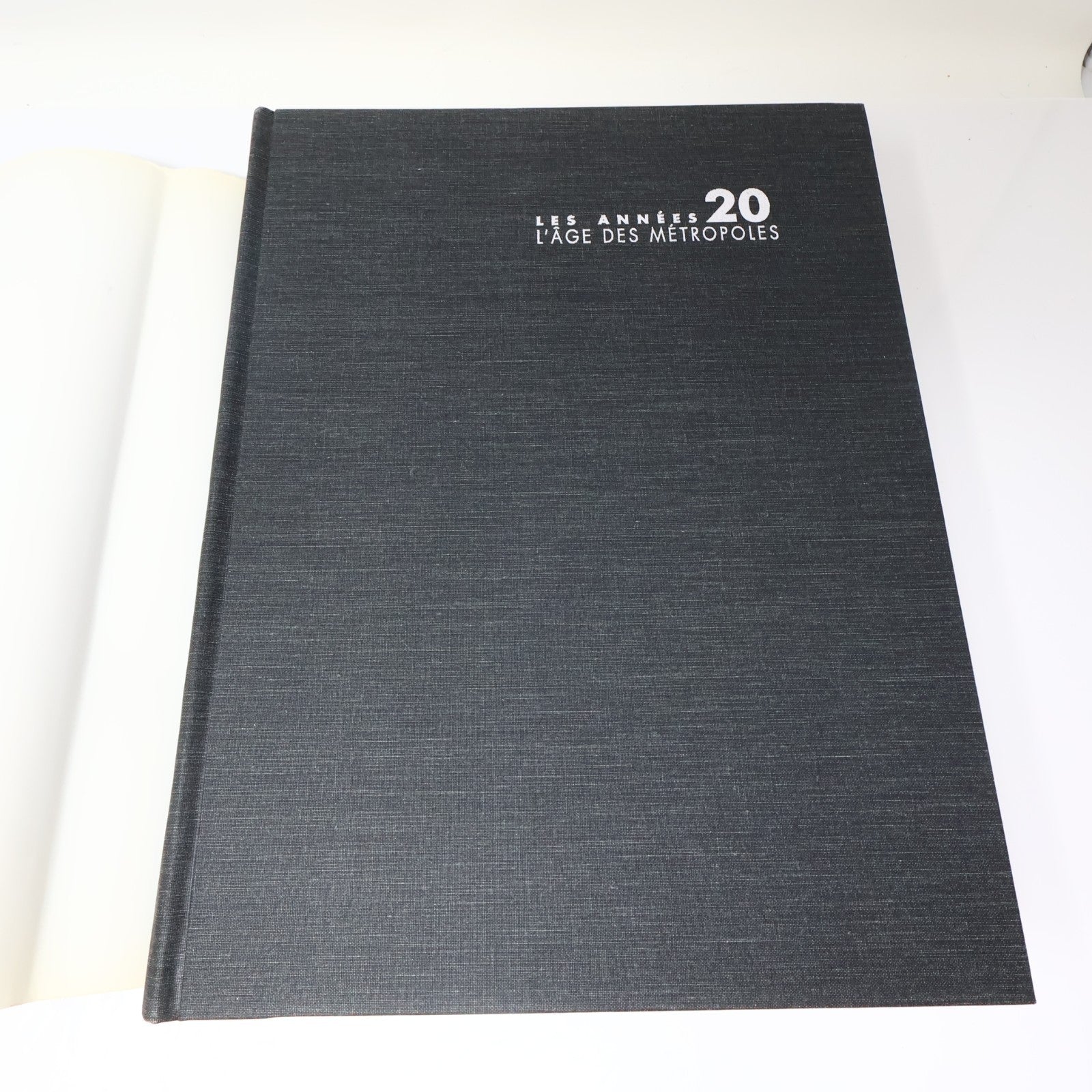 Les Années 20 L'âge des Métropoles MBAM Catalogue Exposition 1991 HC Français