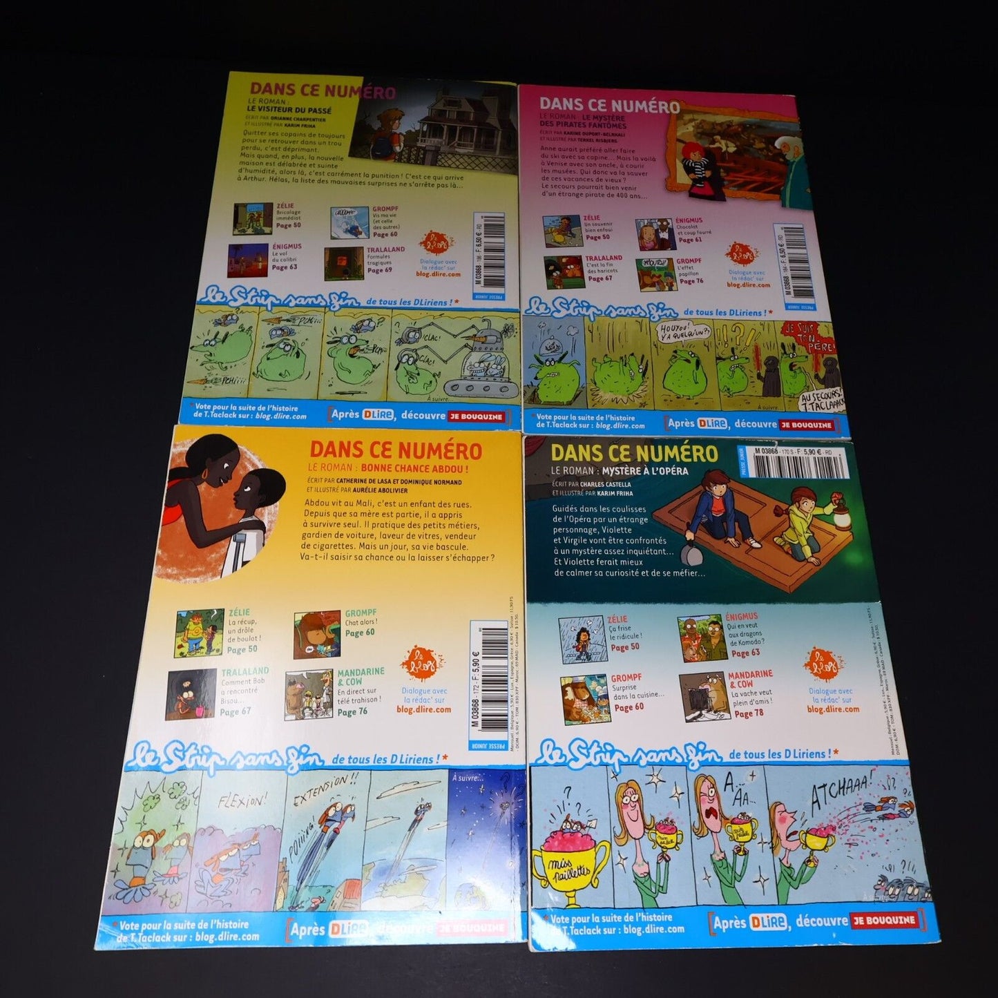 Lot 10 Magazines DLire Enfants Magazine Bayard Le Maître et les Elfes Français