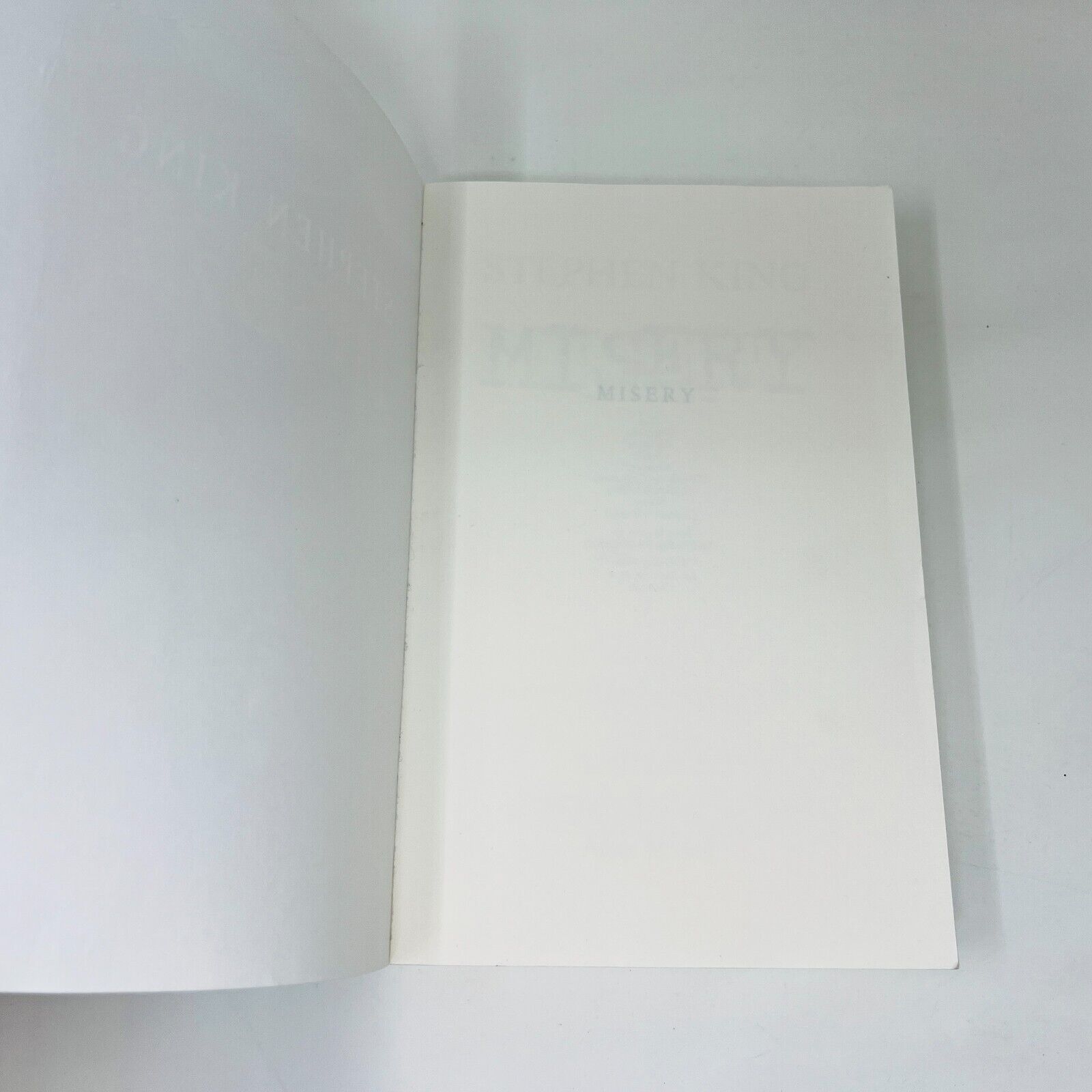 1991 Misery de Stephen King Roman Albin Michel Horreur Français/French Paperback