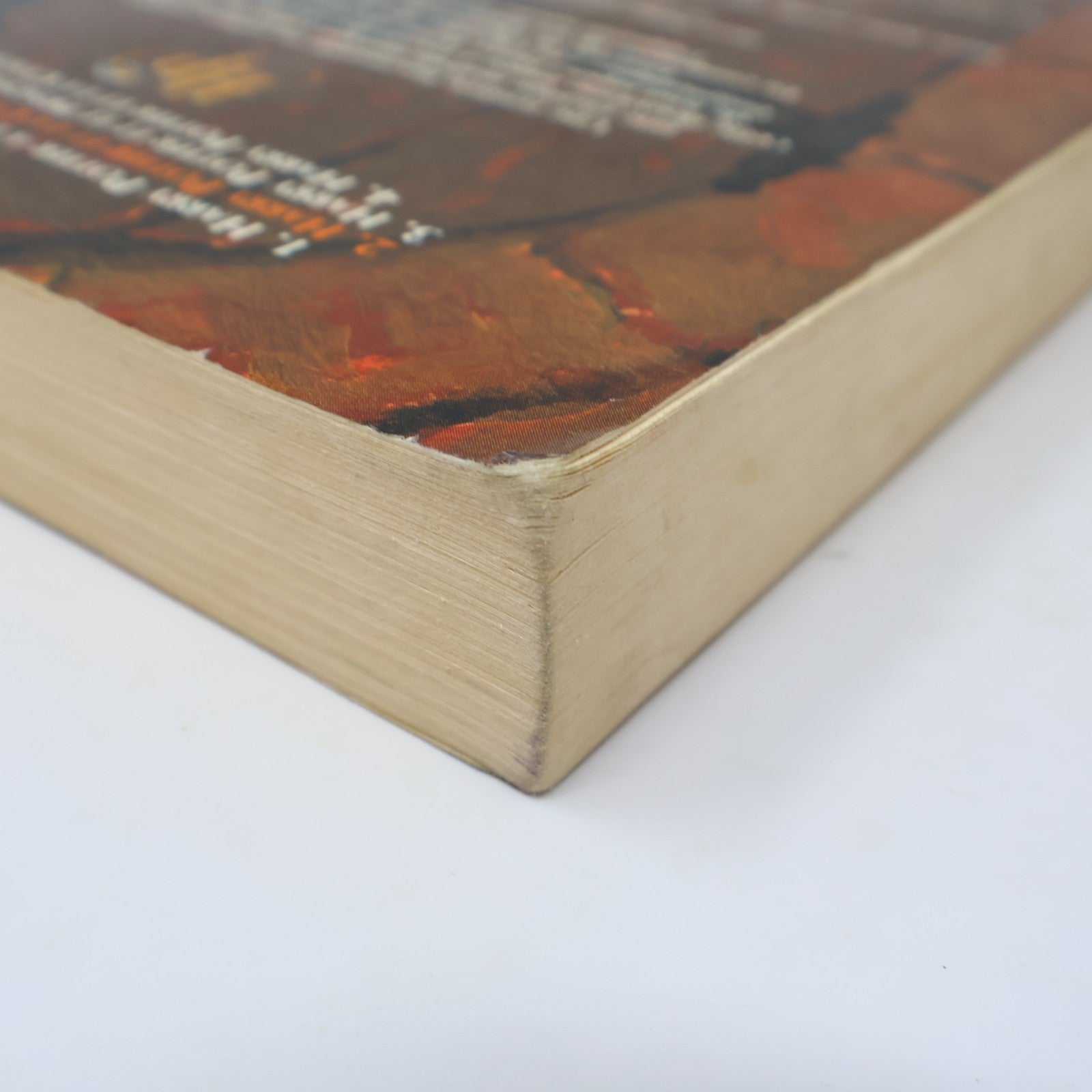Harry Potter et la Chambre des Secrets J.K. Rowling 2001 PB Grand Format Livre