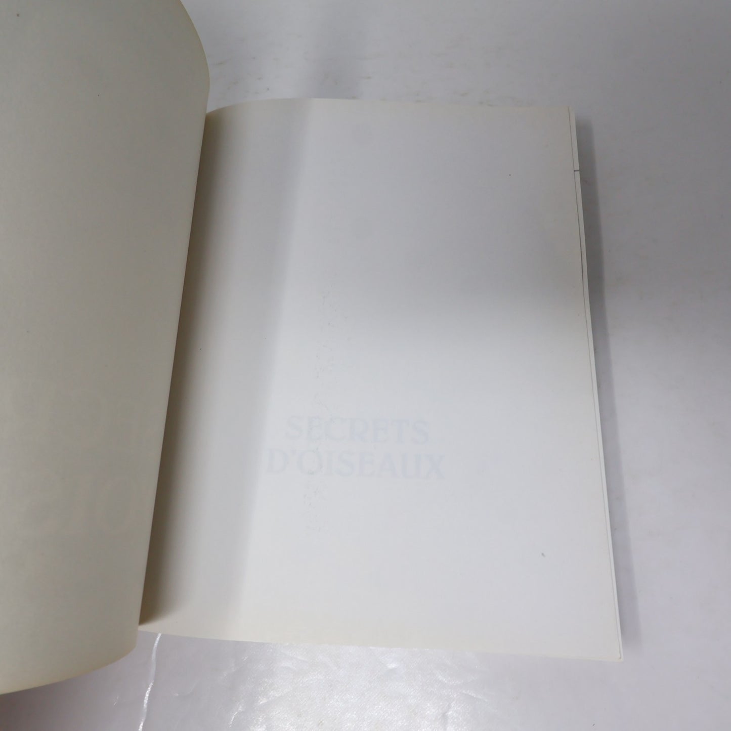 Secrets d'Oiseaux Pierre Gingras Nos Amis les Oiseaux Le Jour 1995 PB Français