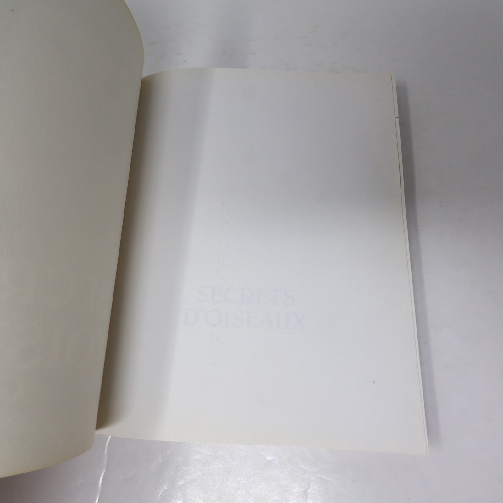 Secrets d'Oiseaux Pierre Gingras Nos Amis les Oiseaux Le Jour 1995 PB Français