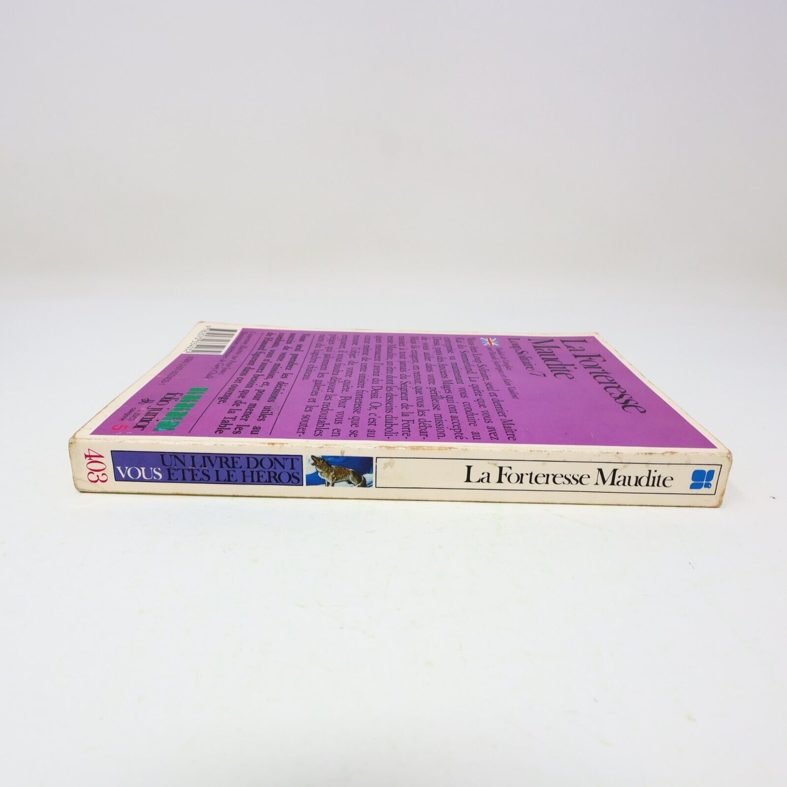 1987 La Forteresse Maudite Loup Solitaire #7 de Joe Dever Gary Chalk LDVELH PB