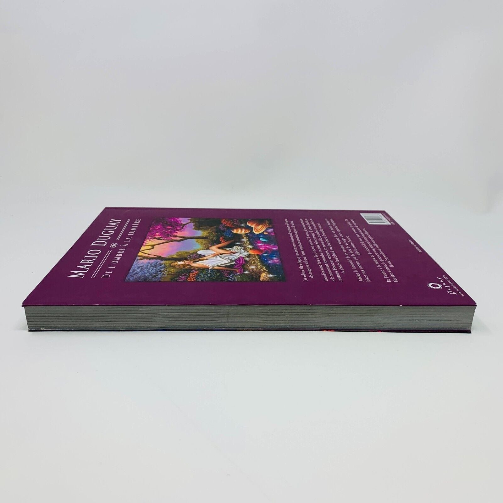 2012 Mario Duguay De l'Ombre à la Lumière Illustrations Peintures Français Livre