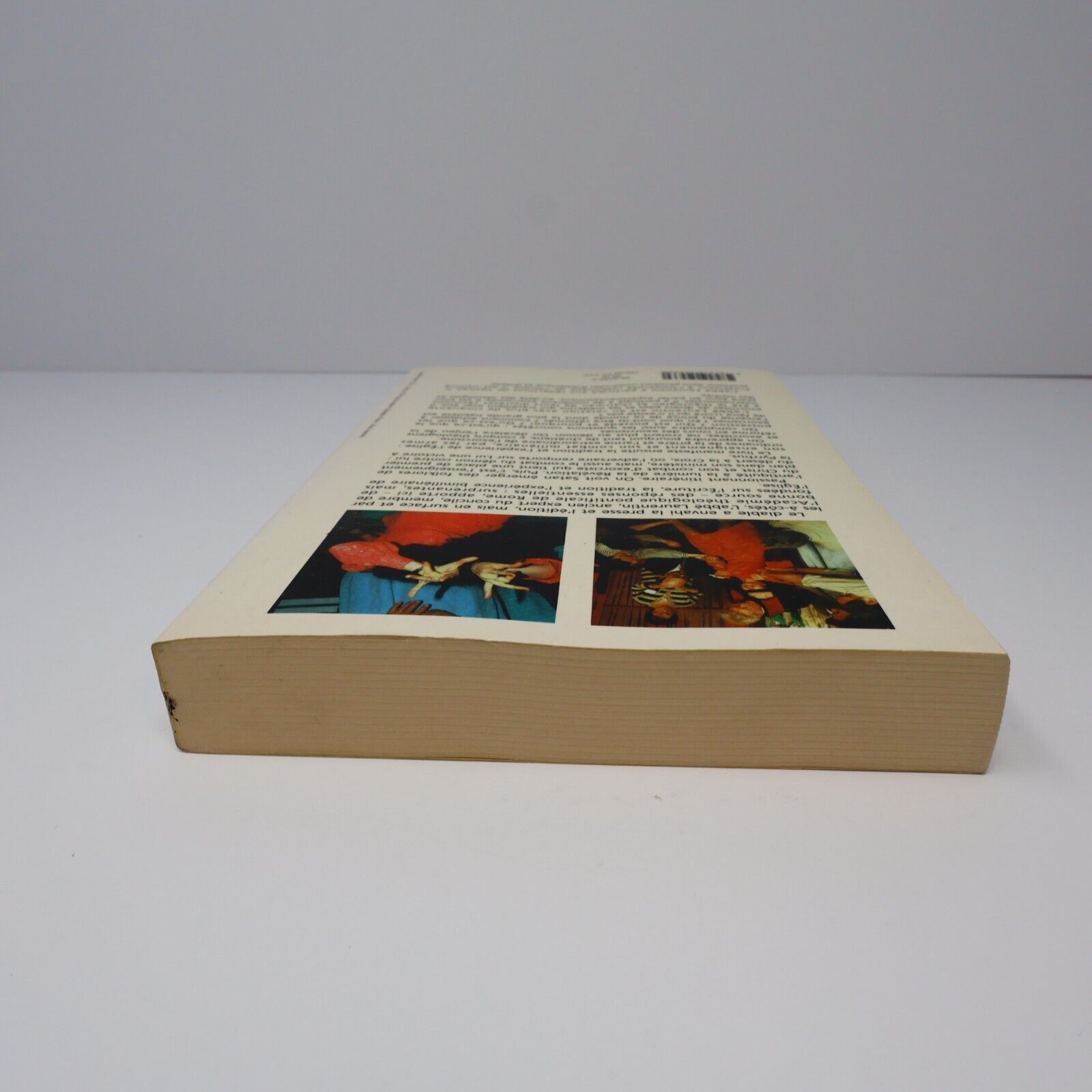 1995 Le Démon Mythe ou Réalité? de René Laurentin Paperback PB Fayard Religion