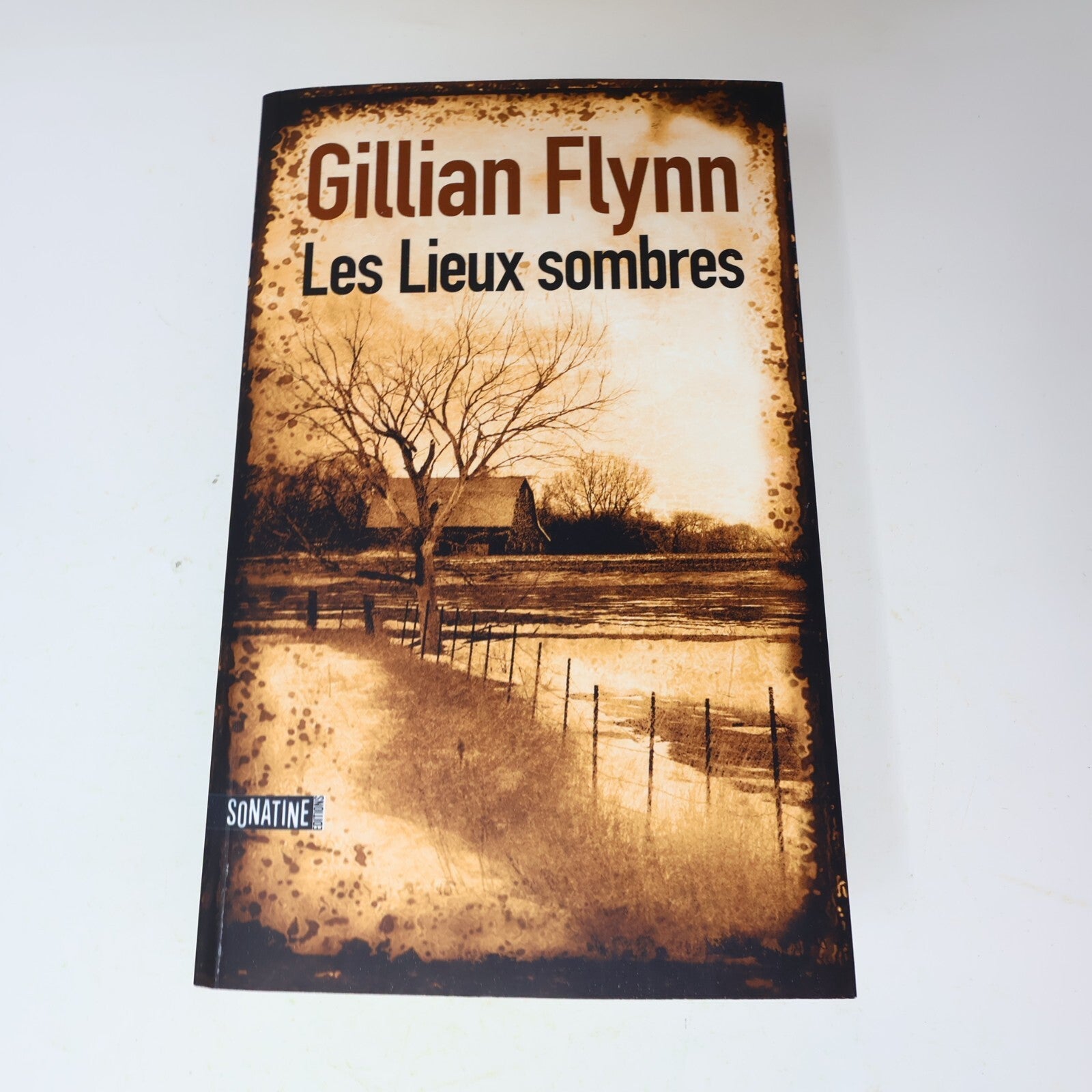 2009 Les Lieux Sombres Gillian Flynn Sonatine Crime et Mystère Policier Thriller