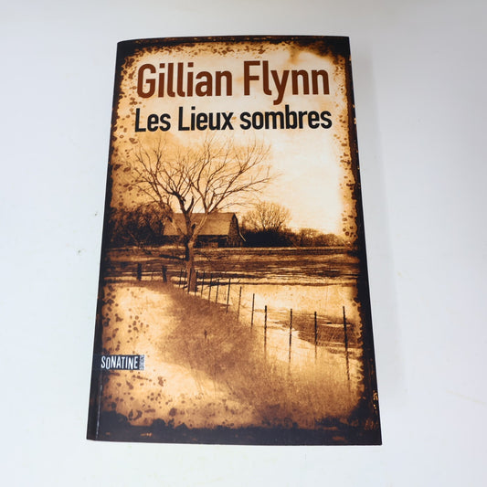 2009 Les Lieux Sombres Gillian Flynn Sonatine Crime et Mystère Policier Thriller