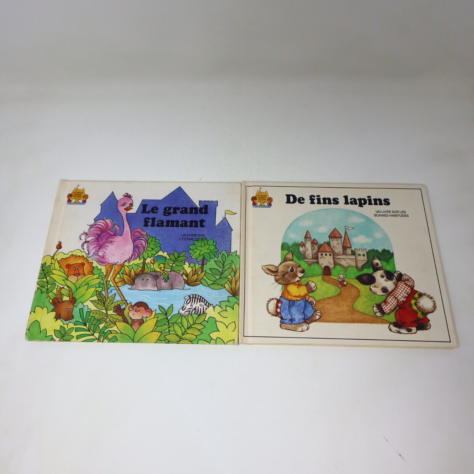 Lot 18 Jane Belk Moncure Le Château Magique du Livre Livres Enfants Grolier 90s