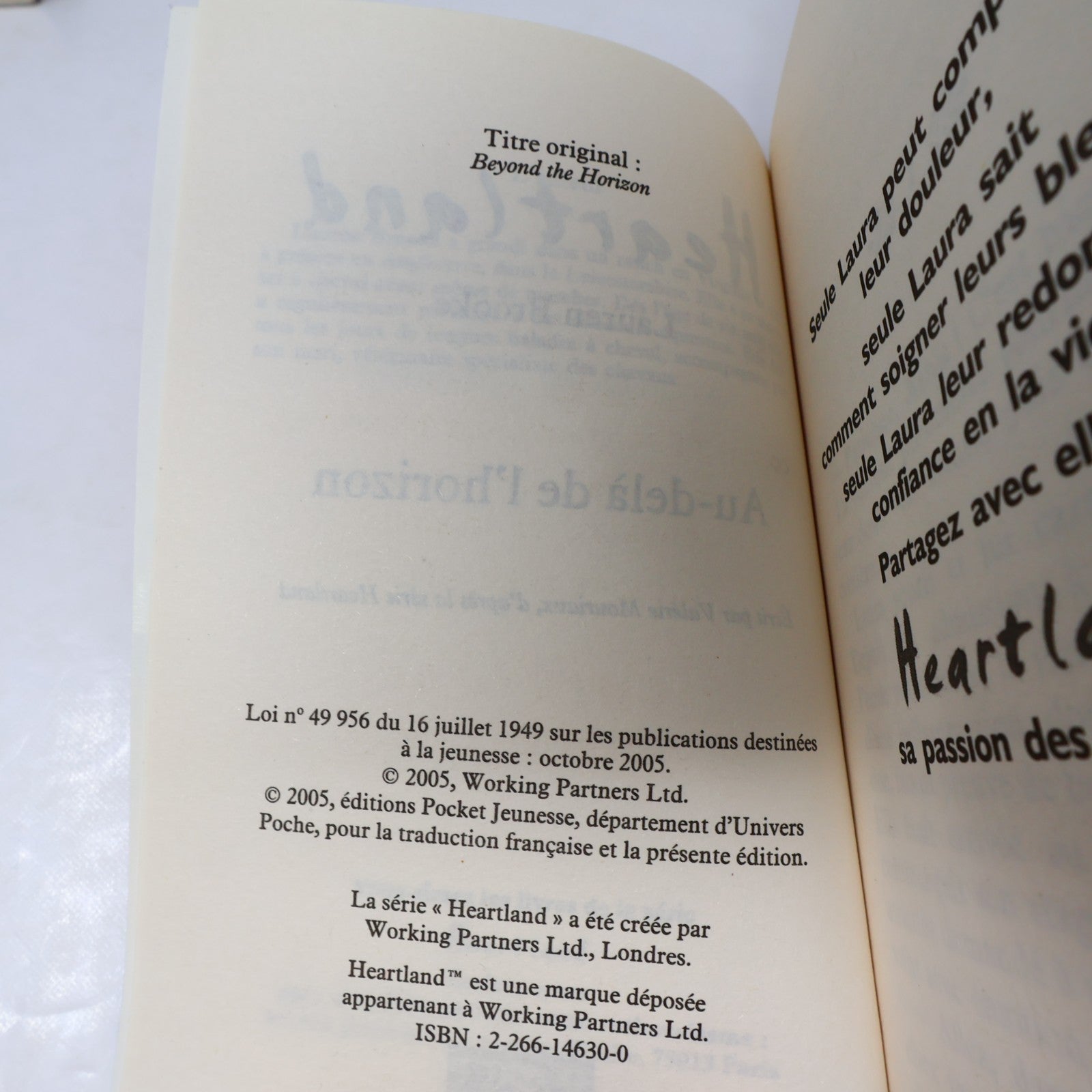 Heartland Lot 19 Livres Lauren Brooke Pocket Je Reste!/Après l'Orage Chevaux PB