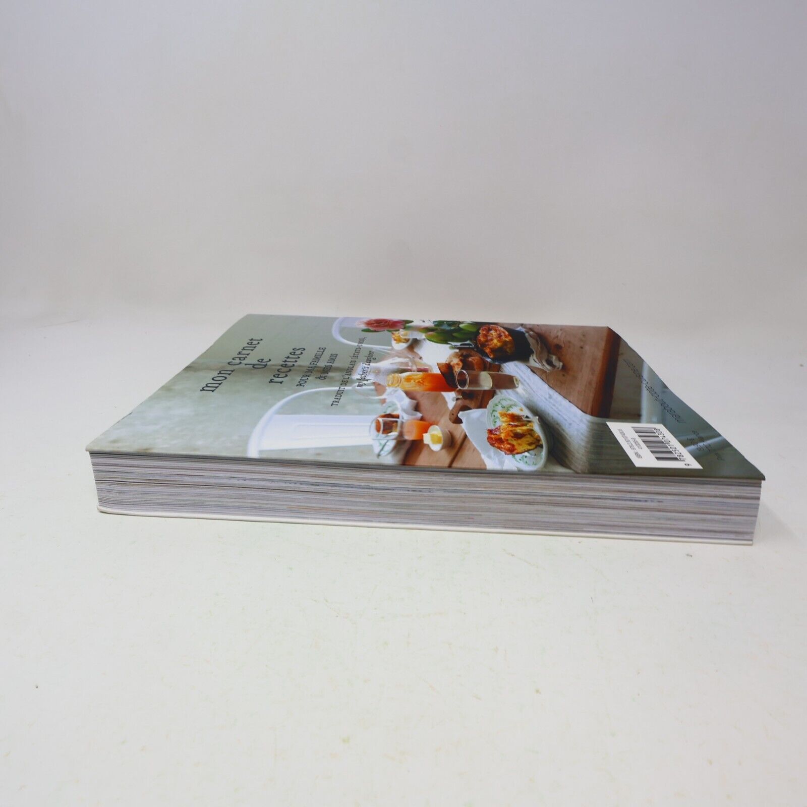 2011 Mon Carnet de Recettes pour ma Famille & mes Amis Gwyneth Paltrow Cuisine