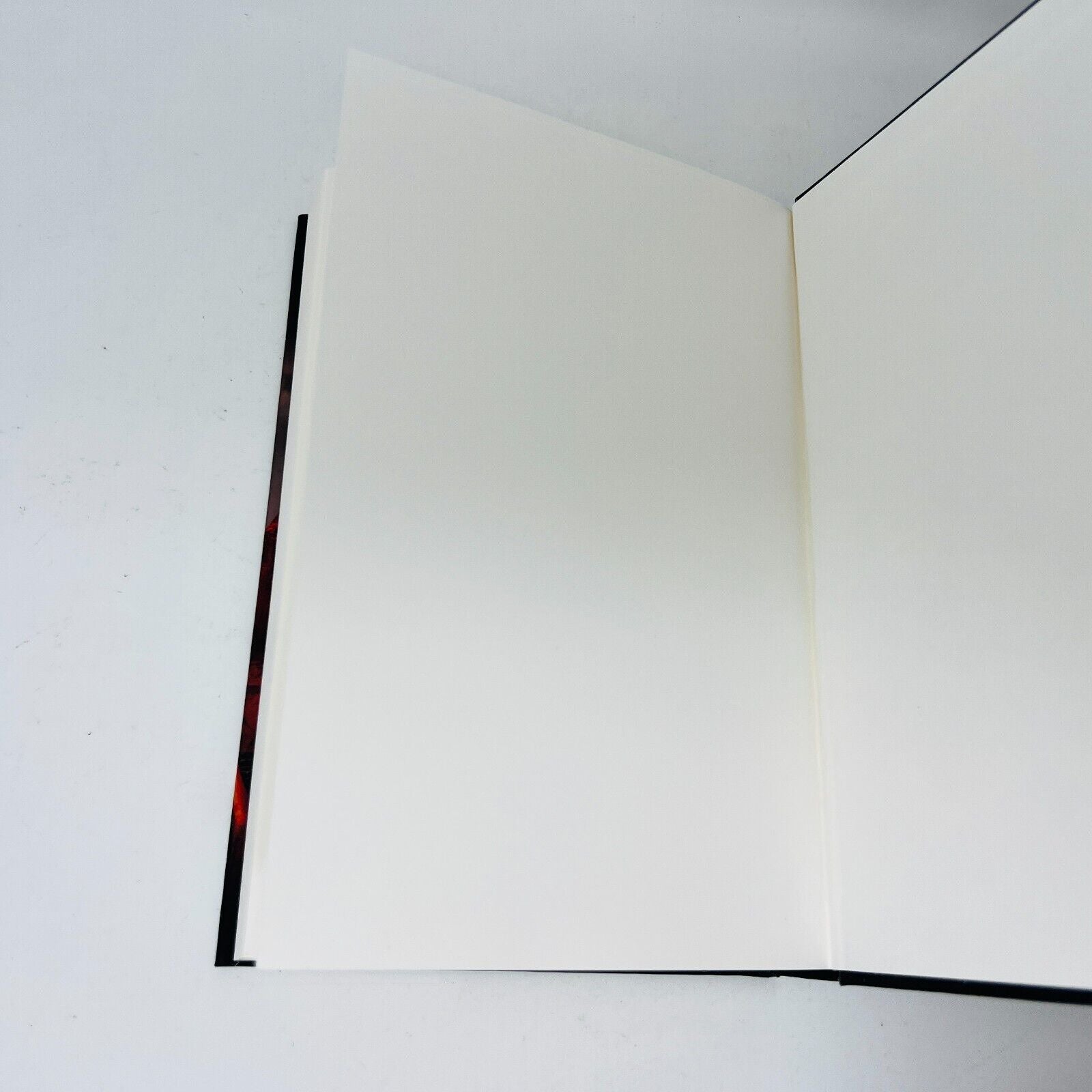 2019 Darklight Book 2 Darkthirst Hardcover by Bella Forrest Vampires Occult