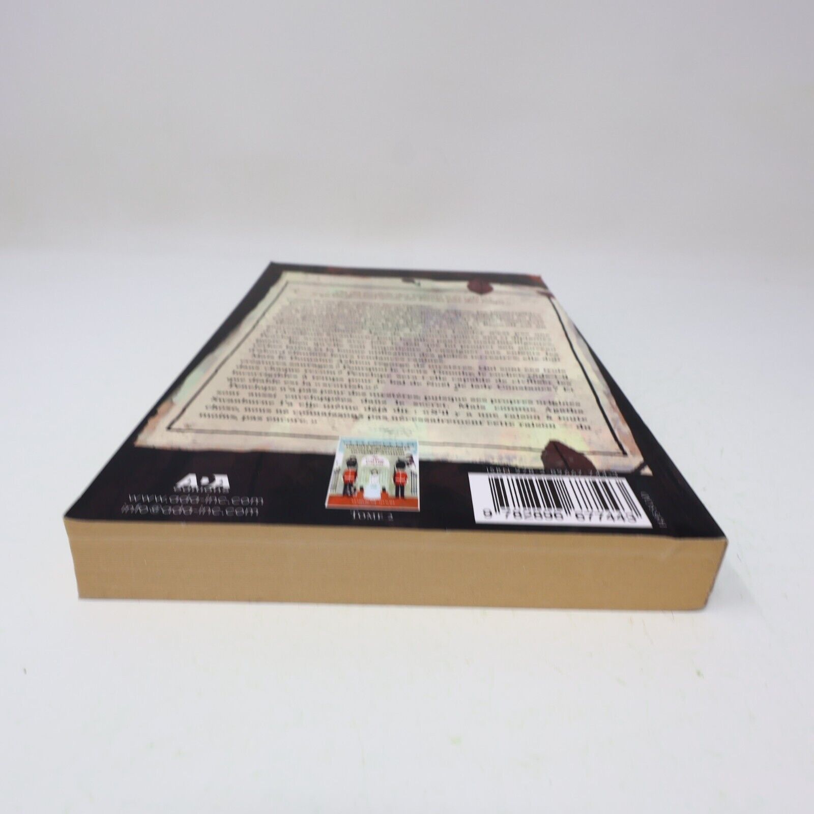 2012 Le Hurlement Mysterieux Maryrose Wood Ada Français Paperback Enfants Ados