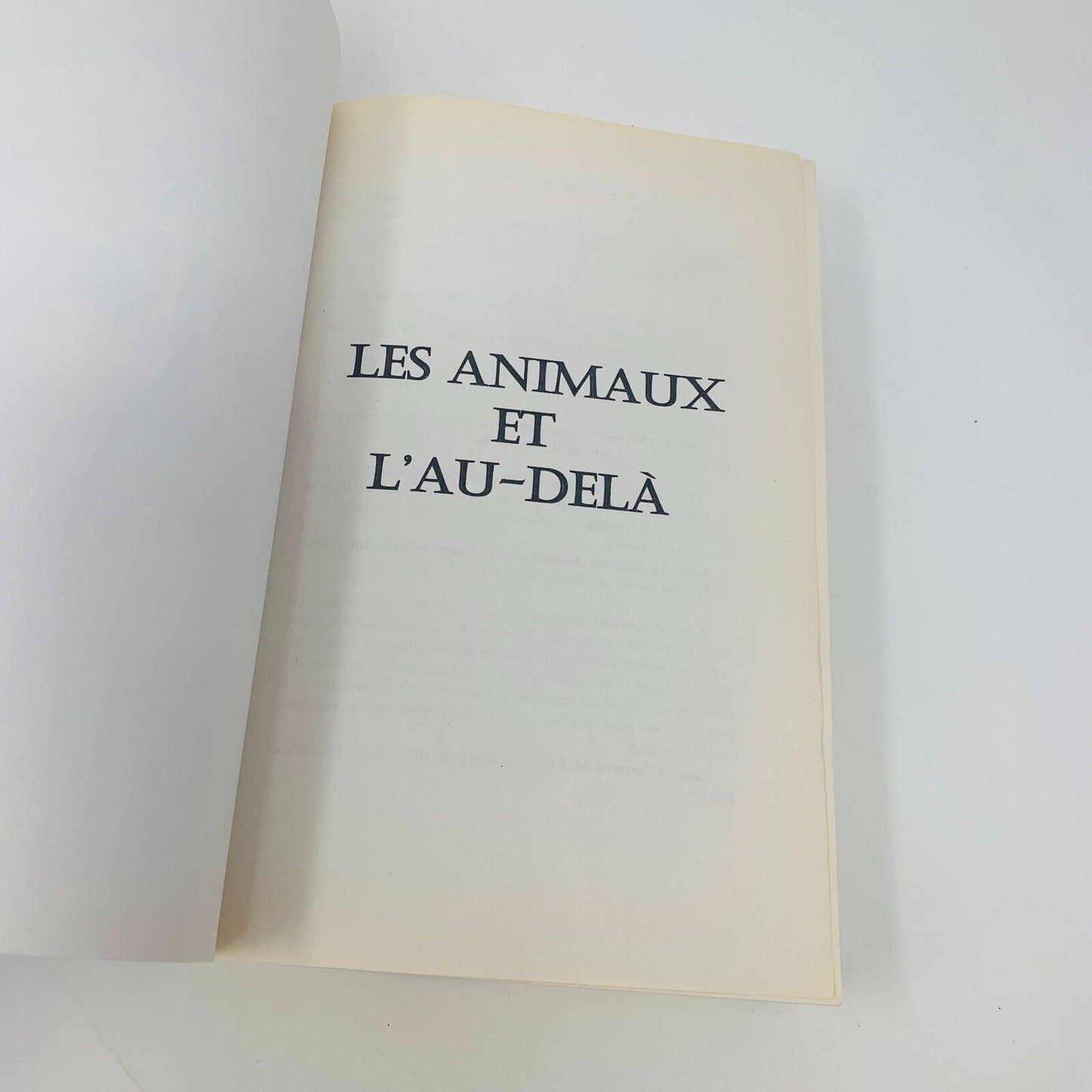 2007 Les Animaux et l'Au-Delà de Kim Sheridan Vie Mort Chat Chien Français Ada