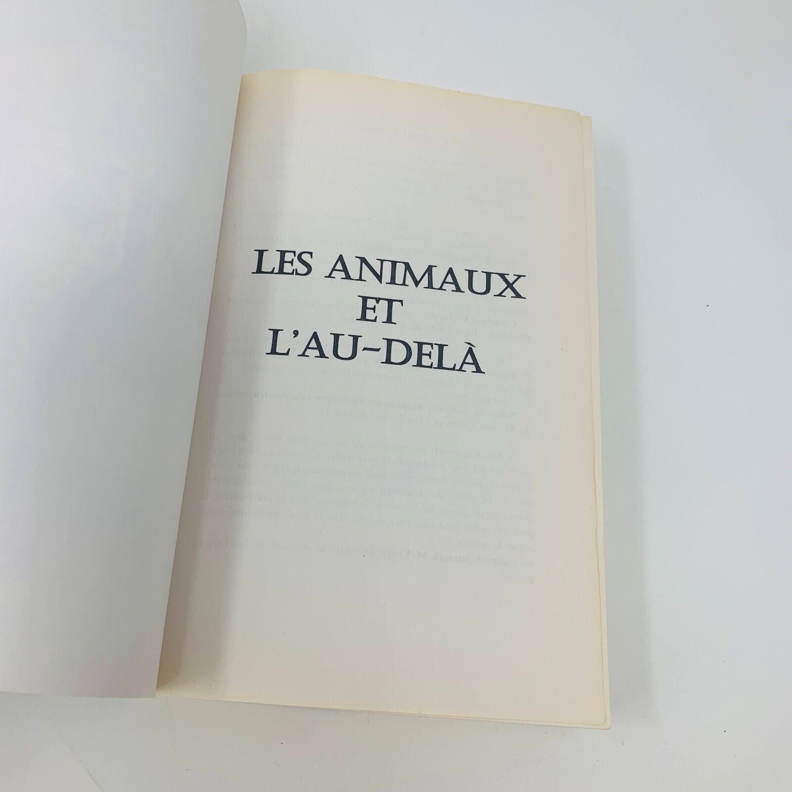 2007 Les Animaux et l'Au-Delà de Kim Sheridan Vie Mort Chat Chien Français Ada