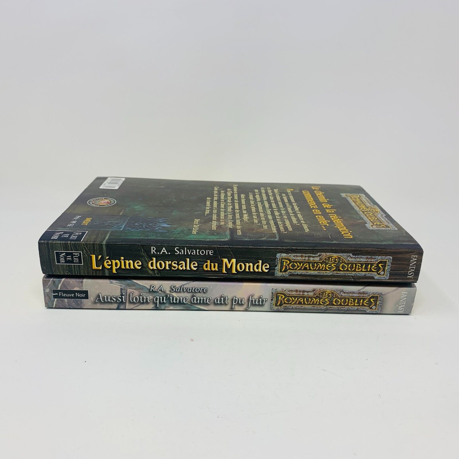 La Séquence d'Ombre-Terre #1 & 4 Grand Format Lot Royaumes Oubliés Fleuve Noir