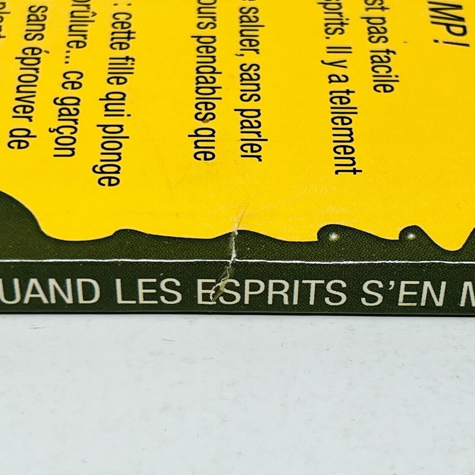 1998 Chair de Poule #53 Quand les Esprits s'en Mêlent! Héritage Français Stine