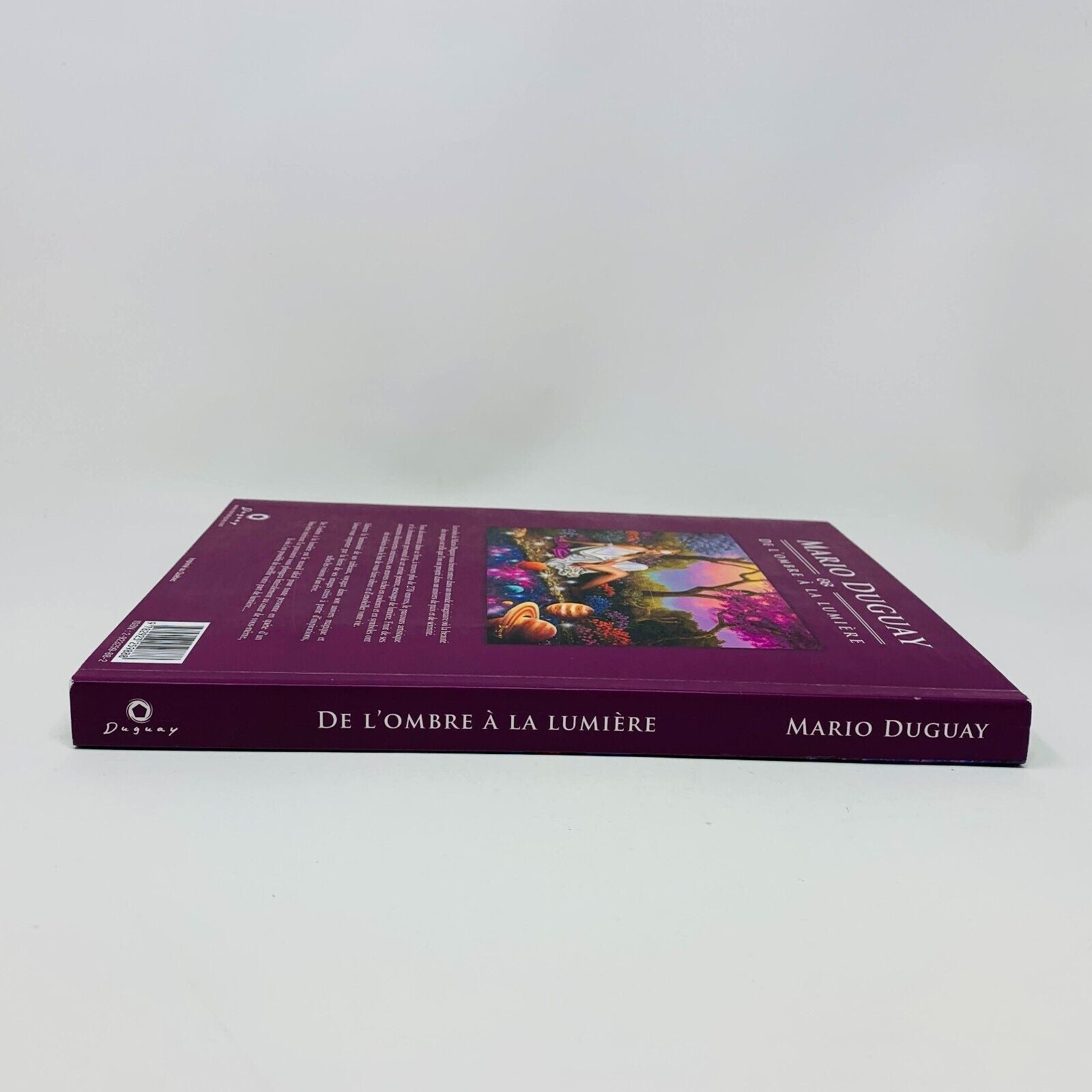 2012 Mario Duguay De l'Ombre à la Lumière Illustrations Peintures Français Livre
