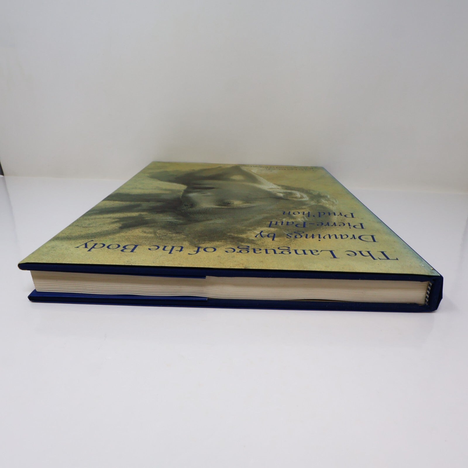 Language of the Body Drawings By Pierre-Paul Prud'Hon John Elderfield 1996 HC DJ