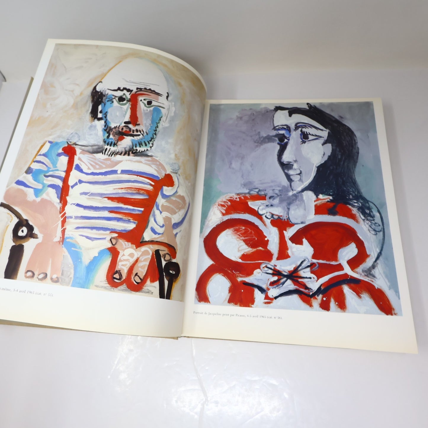 Pablo Picasso Rencontre à Montréal Art Catalogue d'Exposition 1985 HC Français