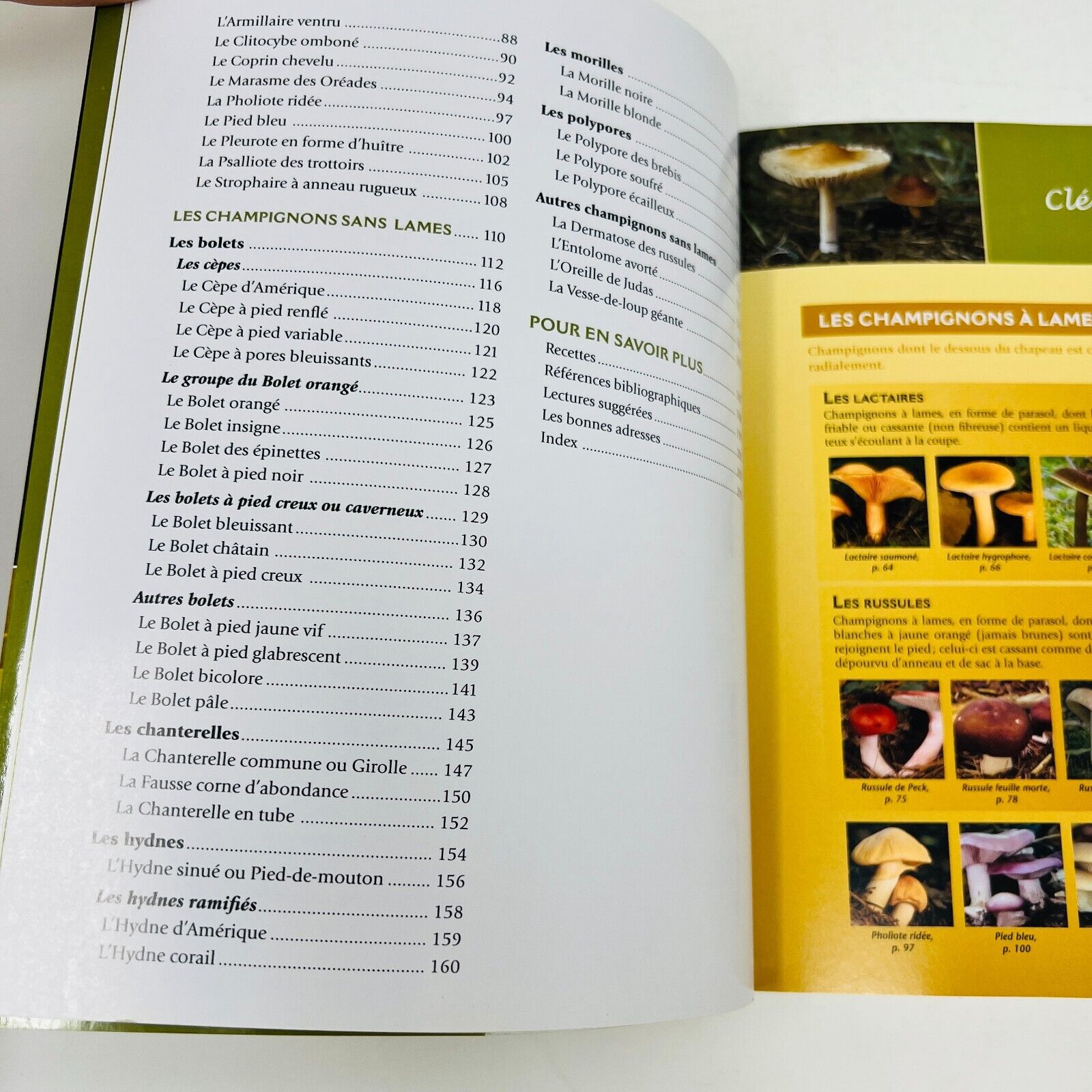 2008 Champignons Comestibles du Québec de Jean Després Français Identification
