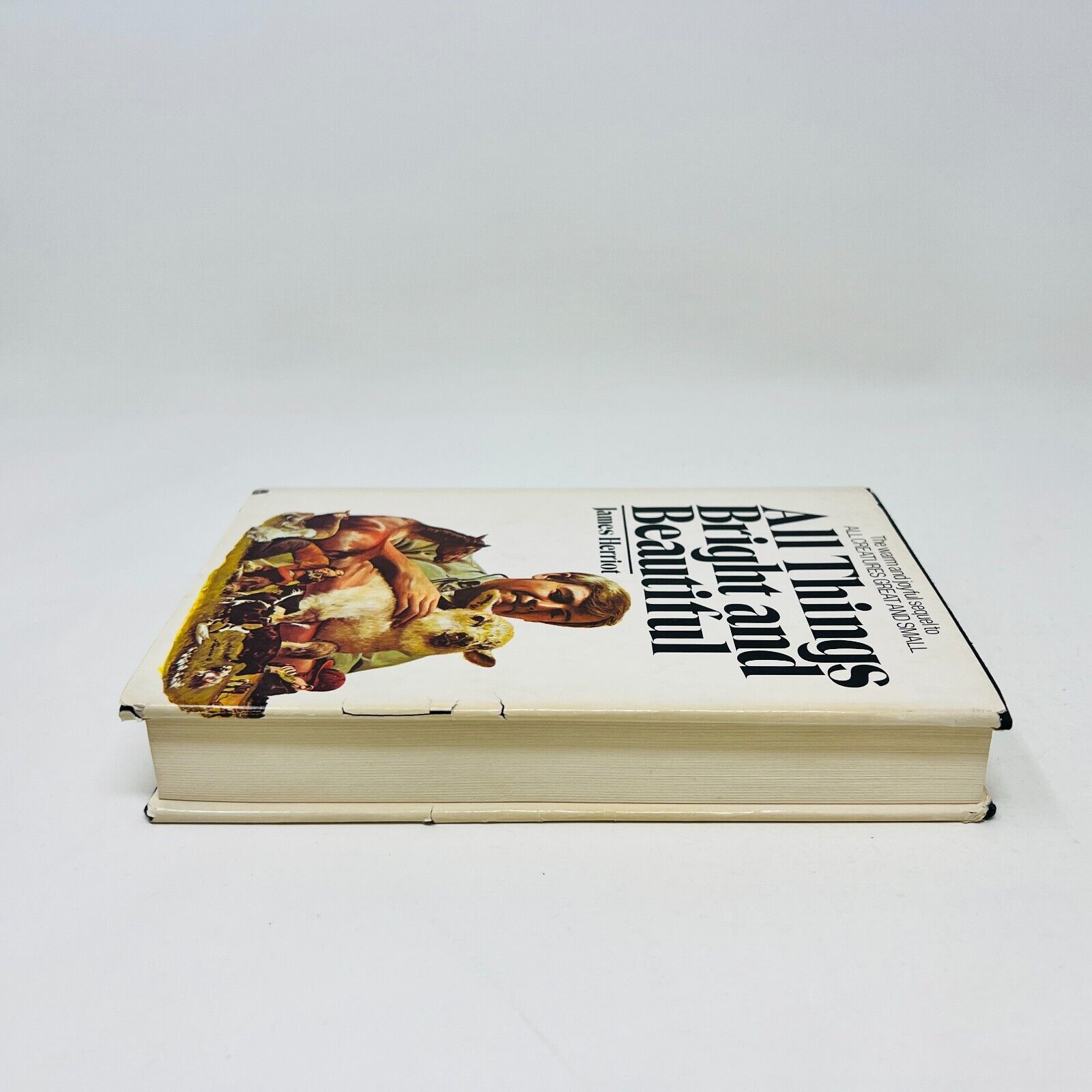 1974 All Things Bright and Beautiful Hardcover DJ by James Herriot 1st Edition
