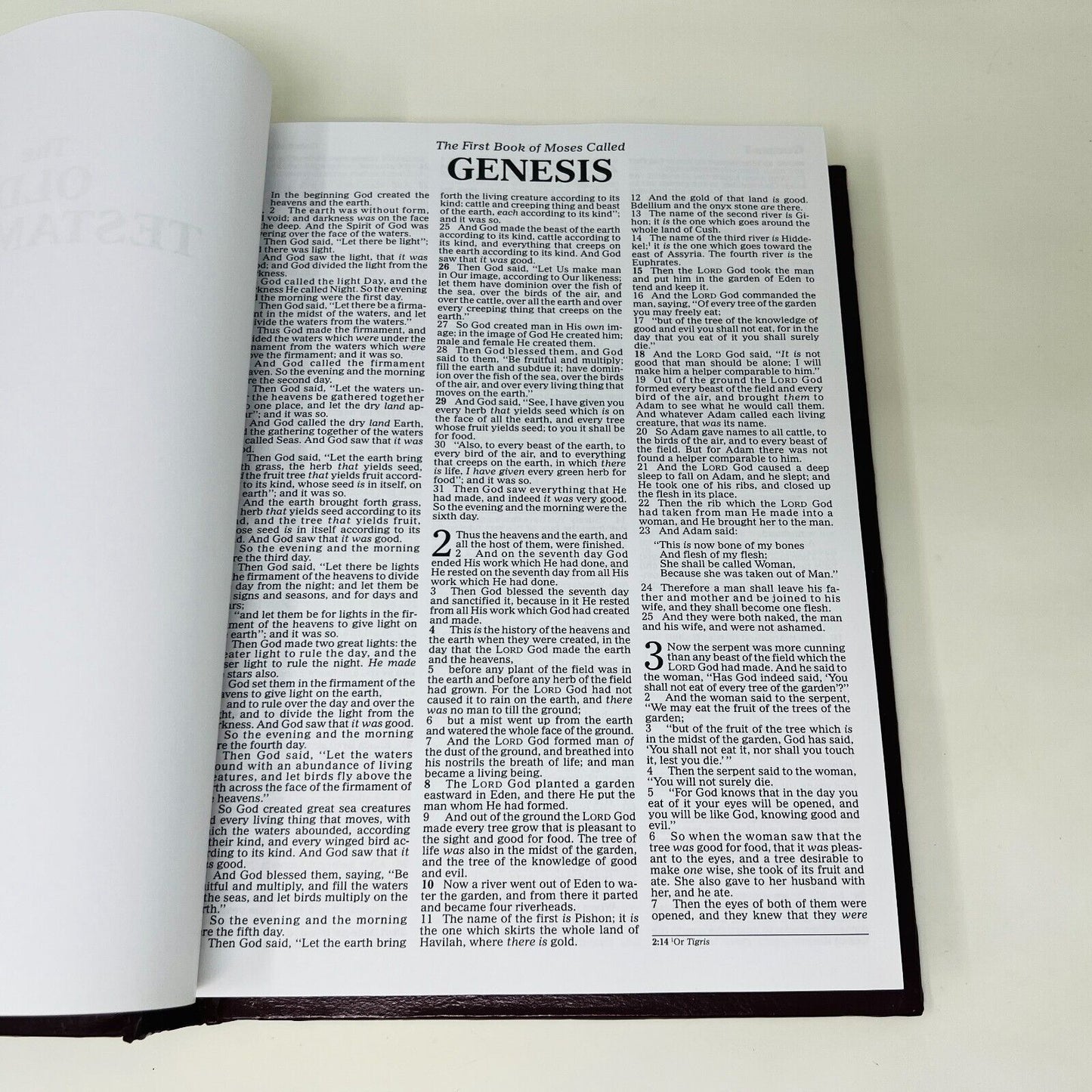 2002 Holy Bible Thomas Kinkade Painter of Light NKJV Thomas Nelson Padded HC