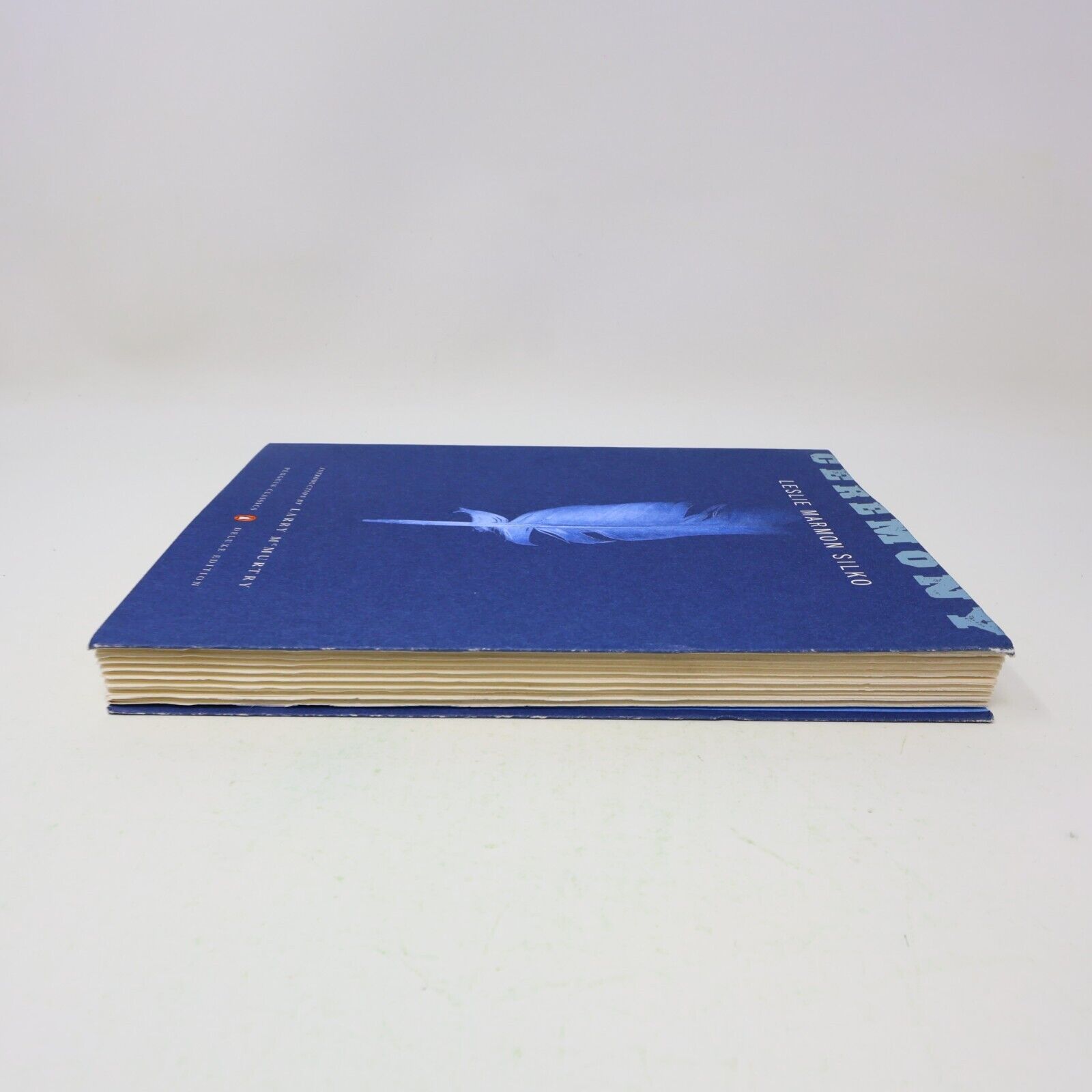 2006 Ceremony Leslie Marmon Silko Deluxe Edition Penguin Paperback First Nations