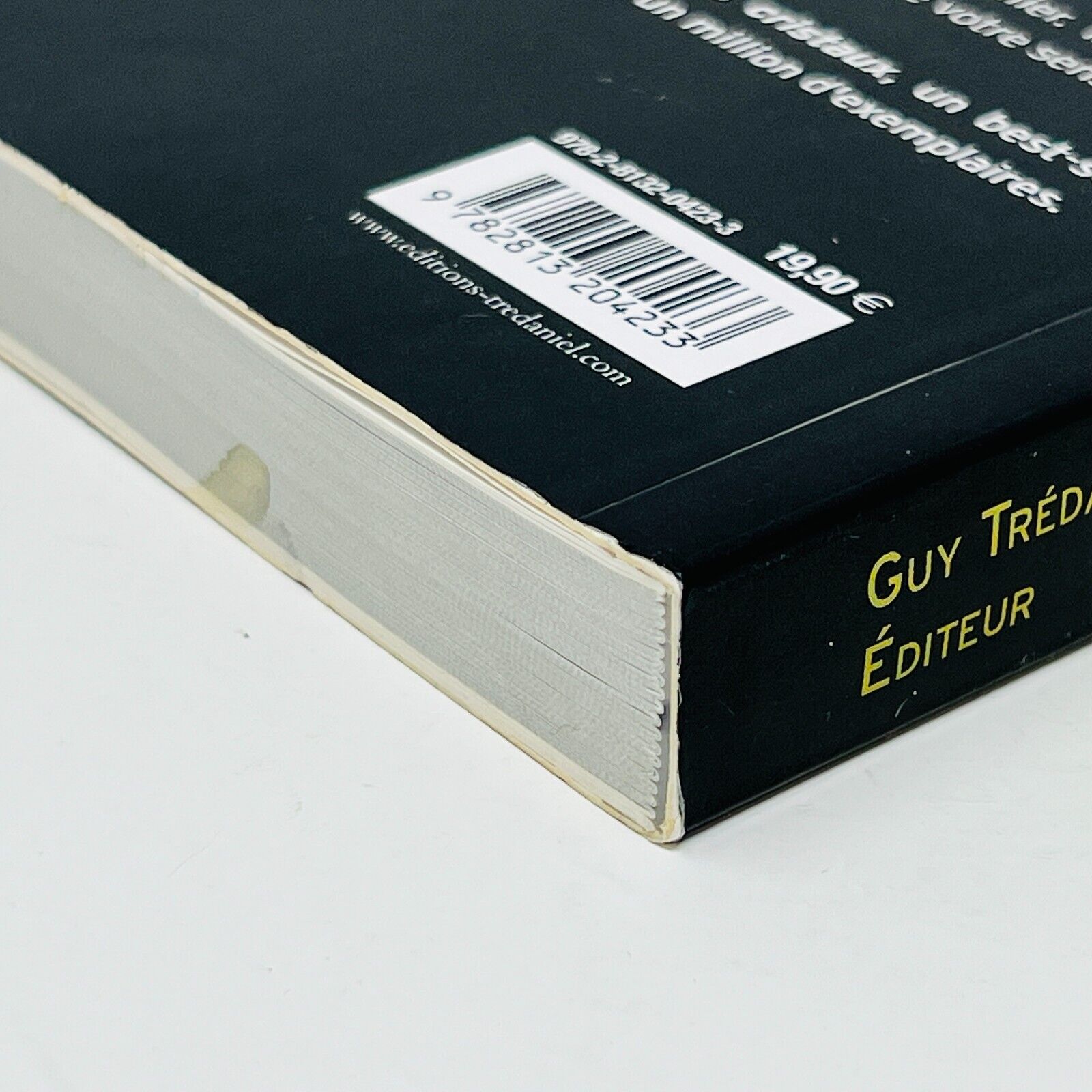 101 Cristaux de Pouvoir de Judy Hall en Français Guy Trédaniel Éditeur 2012