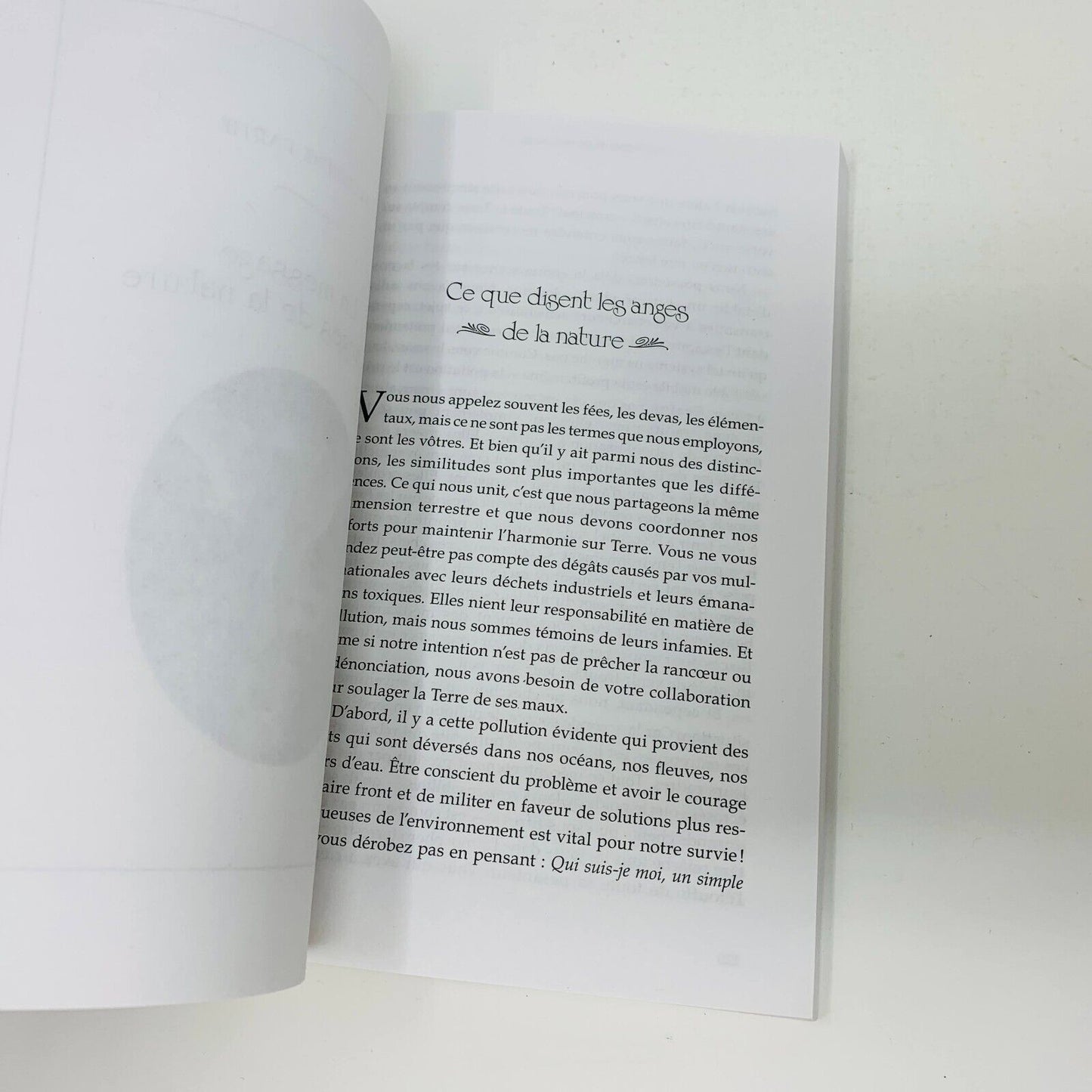 2015 Messages de vos Anges Ada Doreen Virtue Livre en Français Voix du Ciel