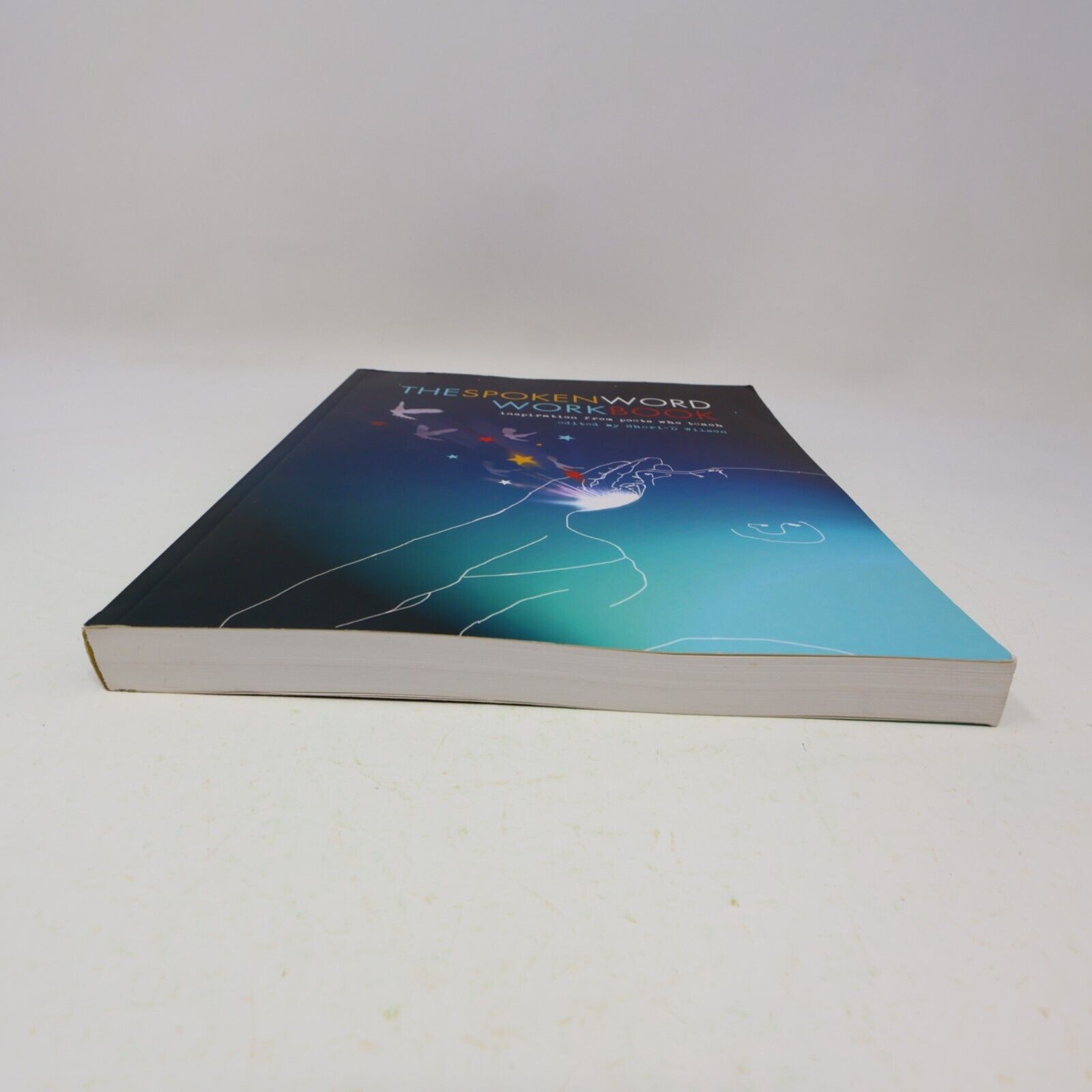 2011 The Spoken Word Workbook Inspiration From Poets Who Teach Sheri-D Wilson PB