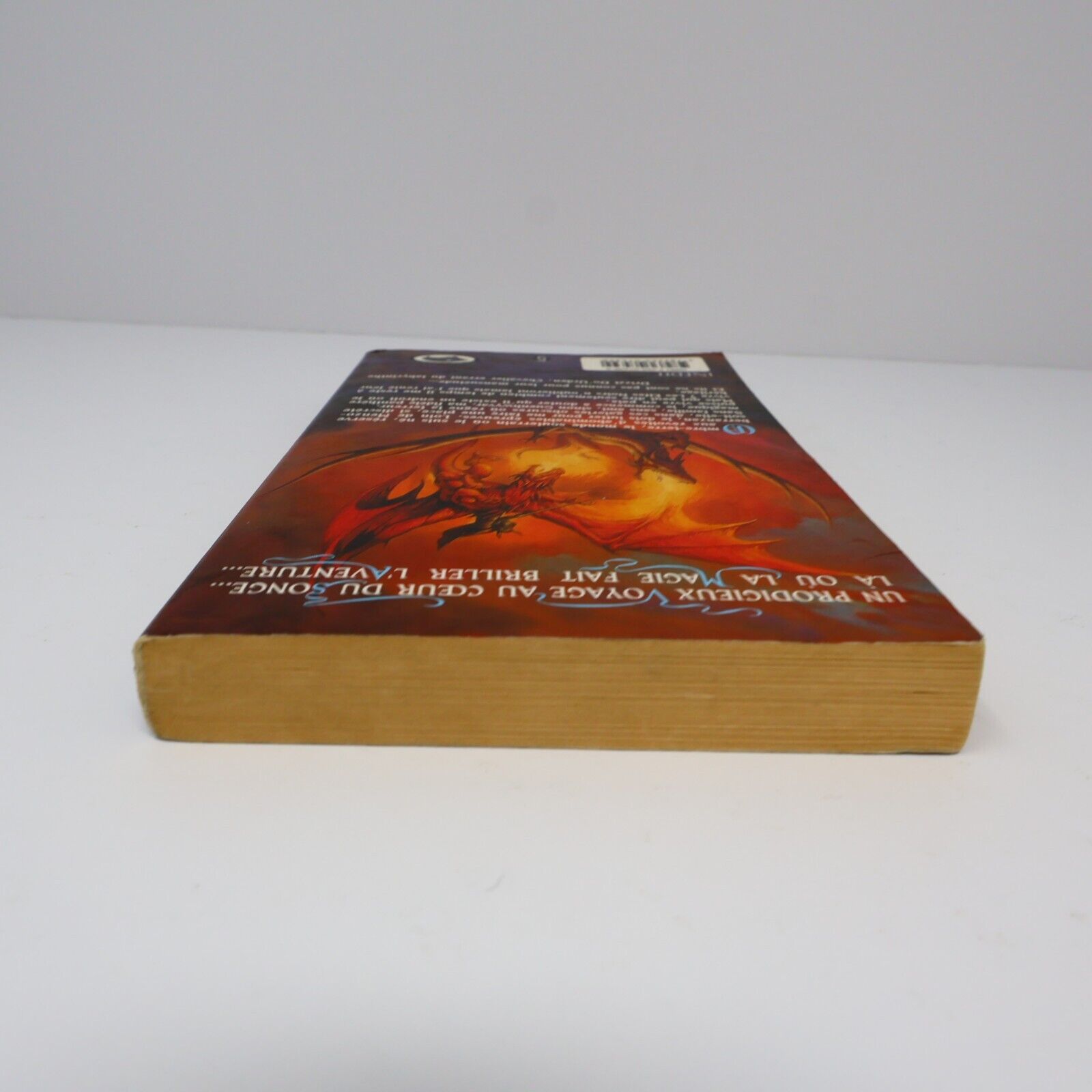 1990 Royaumes Oubliés #5 Terre d'Exil La Trilogie de l'Elfe Noir Fantasy Livre