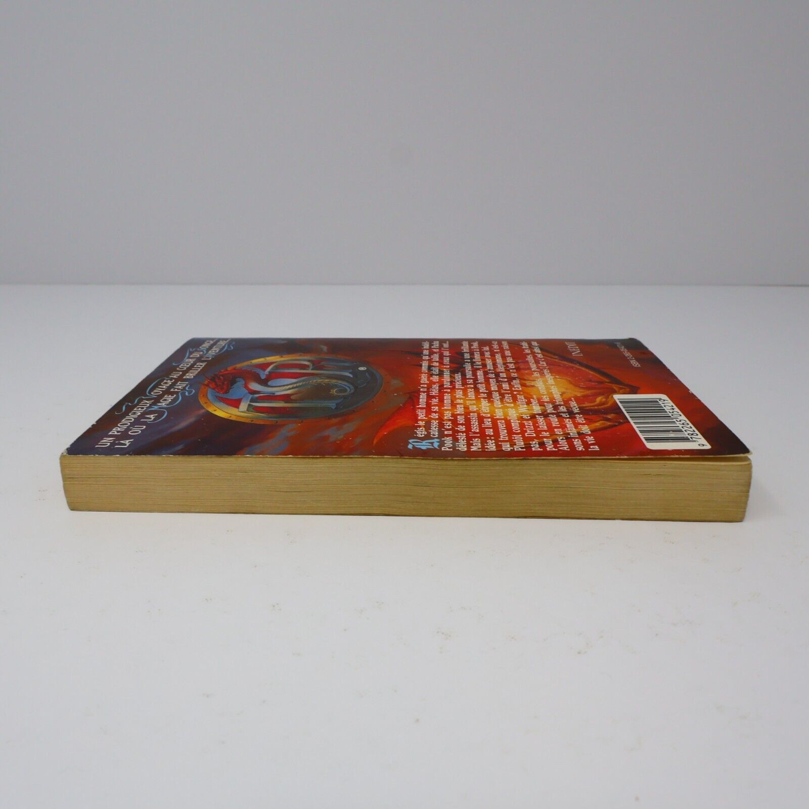 1996 Royaumes Oubliés #17 Le Joyau du Petit Homme La Trilogie du Val Bise Livre