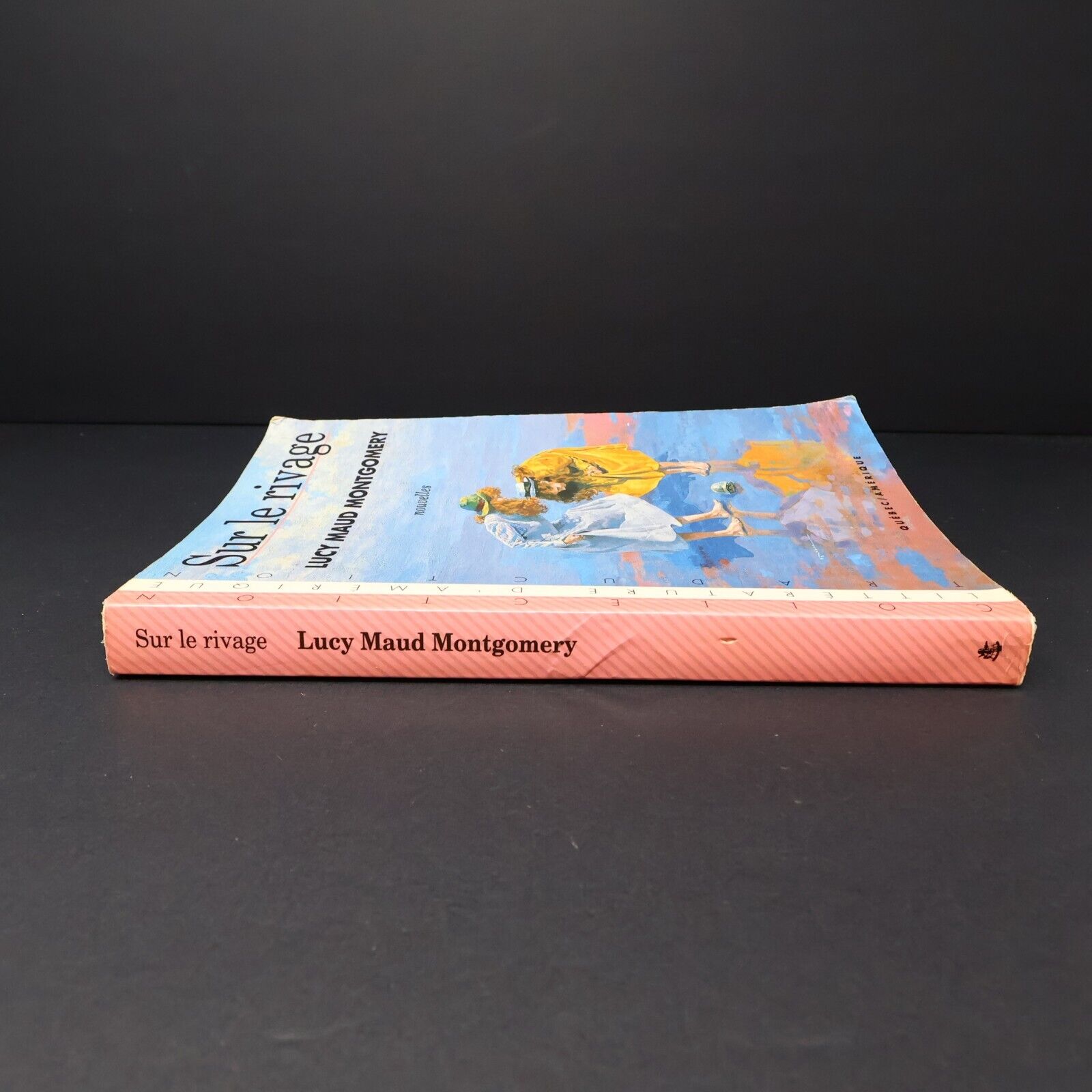 1990 Sur le Rivage de Lucy Maud Montgomery Roman Québec Amérique Français Livre