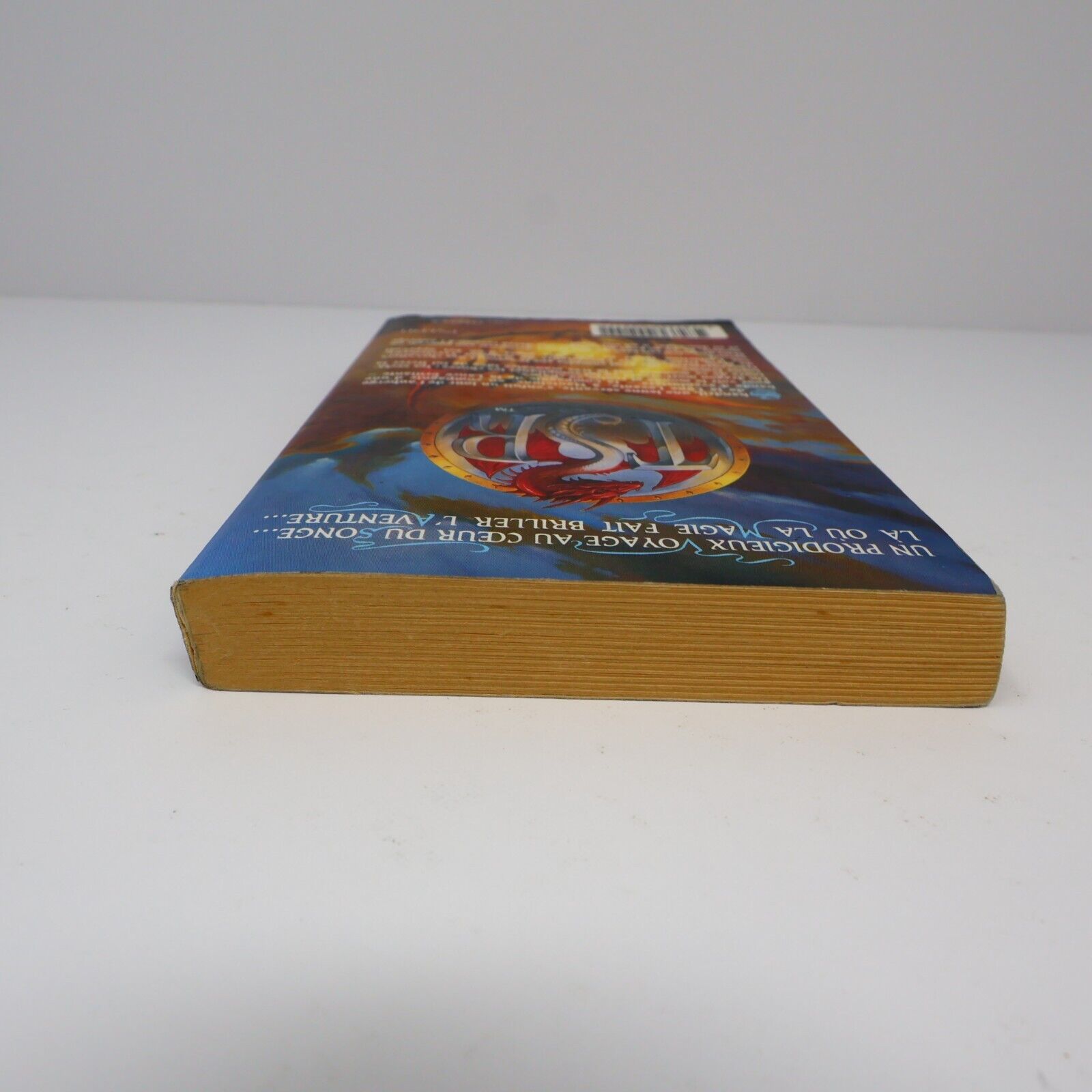 1995 Magefeu Royaumes Oubliés #10 de Ed Greenwood Forgotten Realms Paperback PB