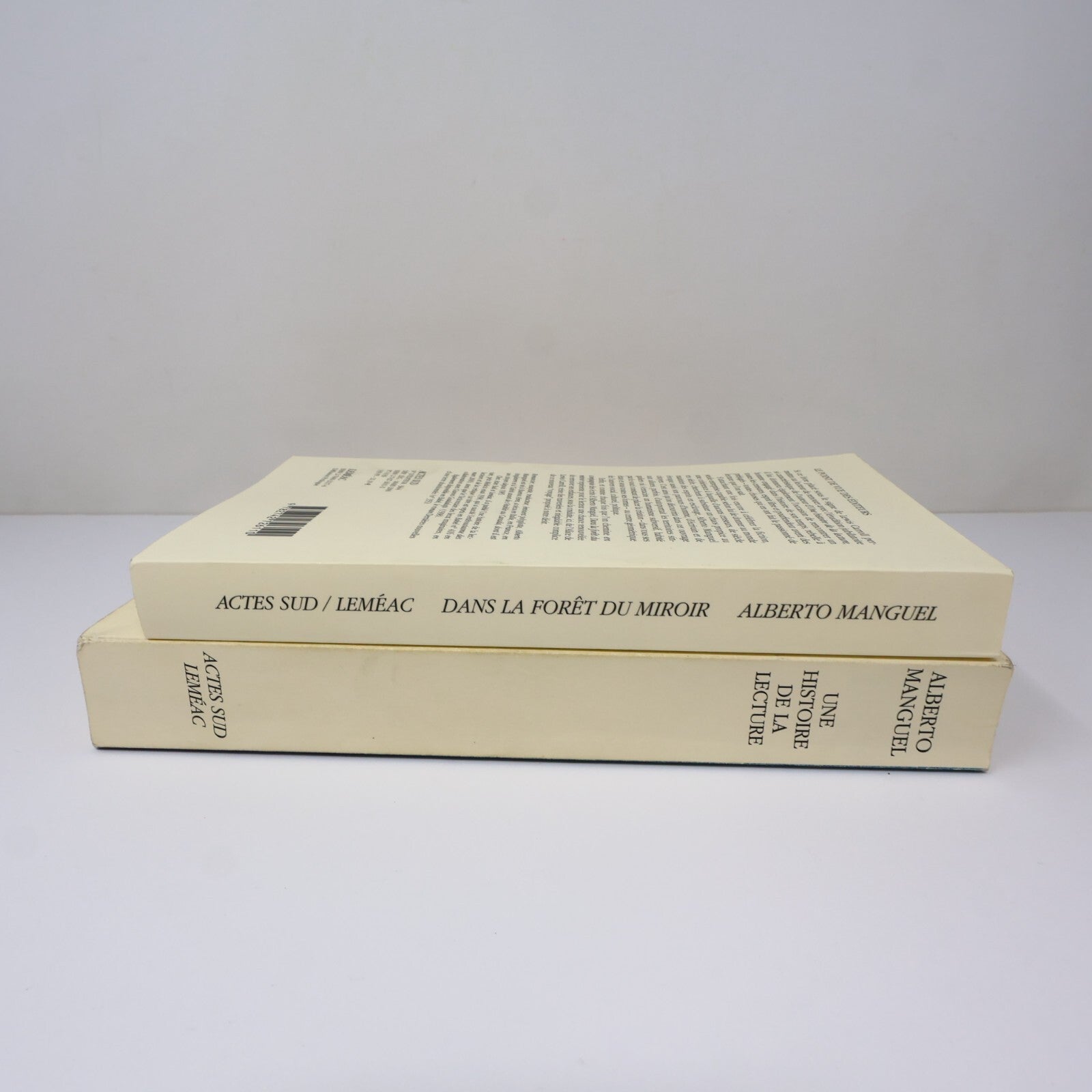 Alberto Manguel Lot 2 Livres Dans la Forêt du Miroir/Histoire de Lecture Essai