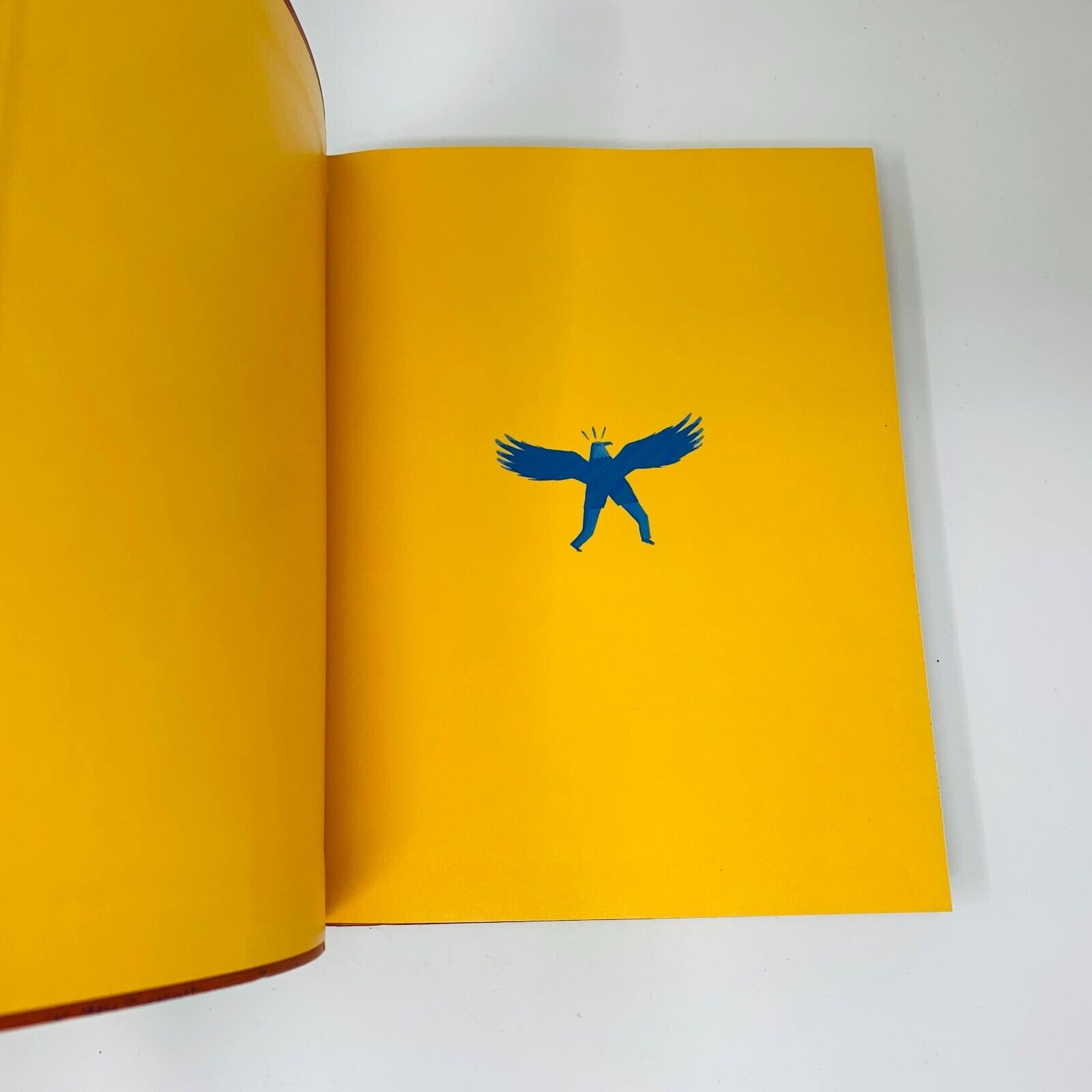 2008 Mille Ans de Contes Indiens d'Amérique du Nord Livre Milan Français French