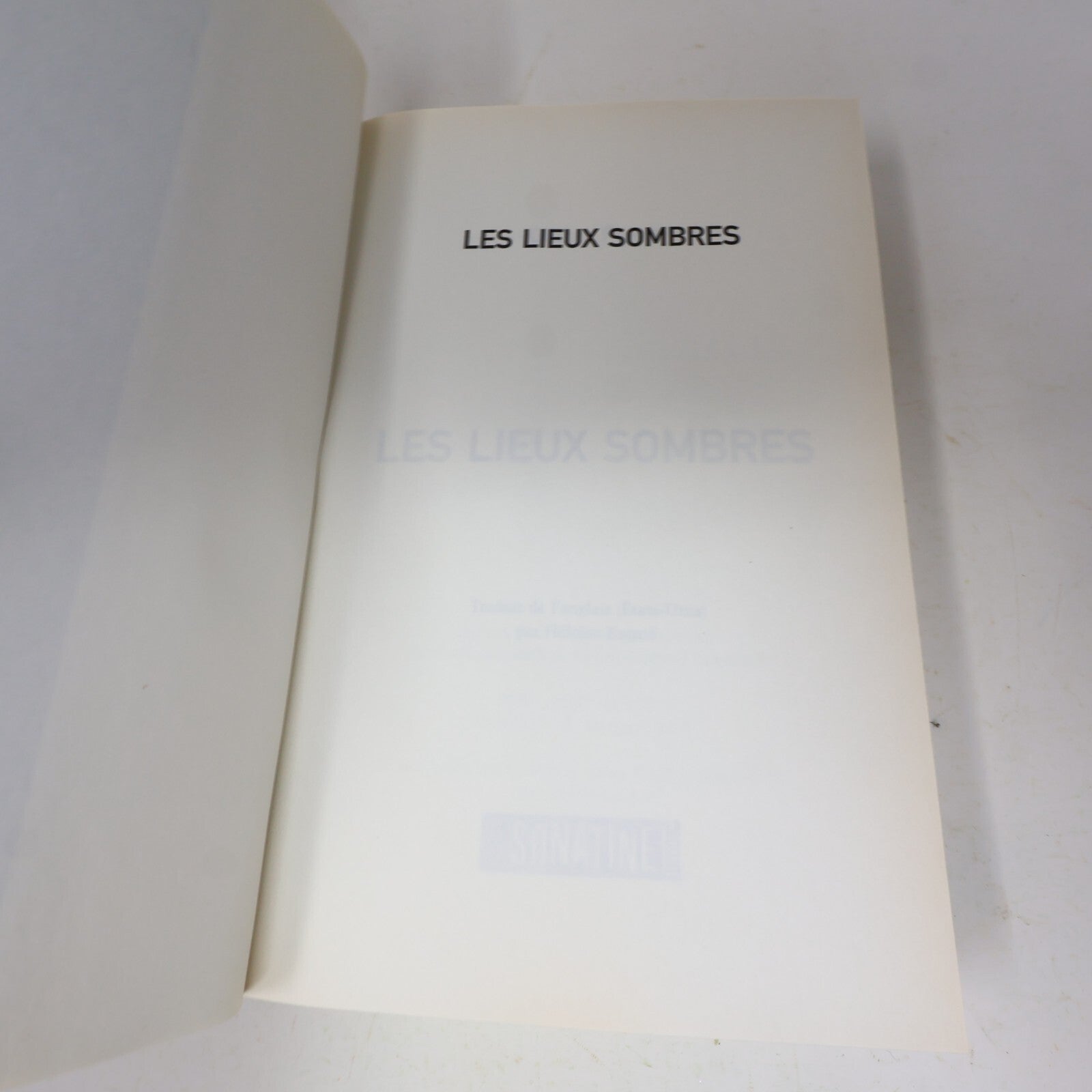 2009 Les Lieux Sombres Gillian Flynn Sonatine Crime et Mystère Policier Thriller
