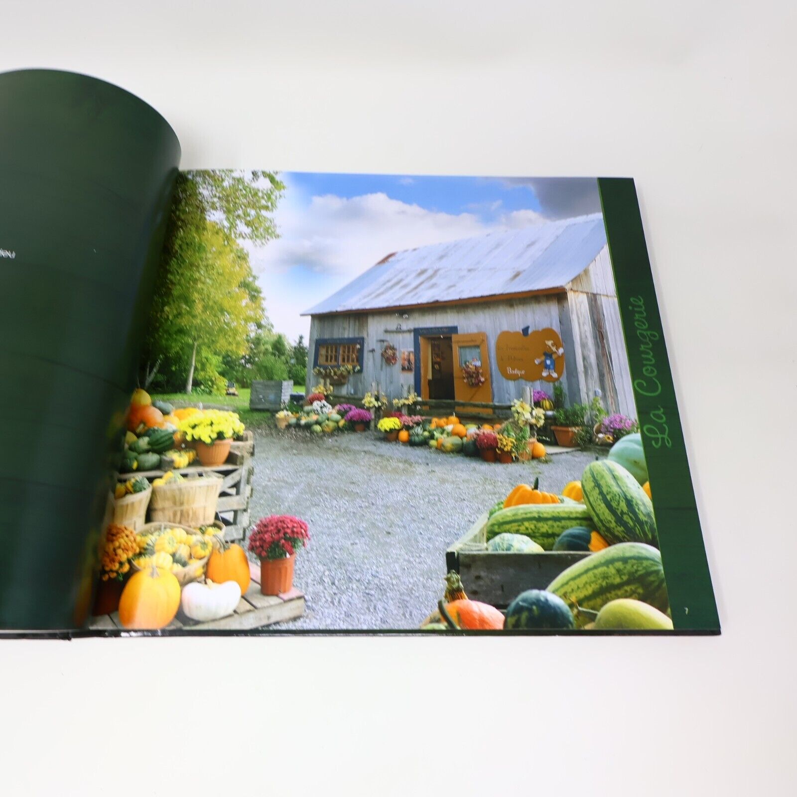 2010 Les Courges dans Votre Assiette Recettes de la Courgerie Cuisine Goélette