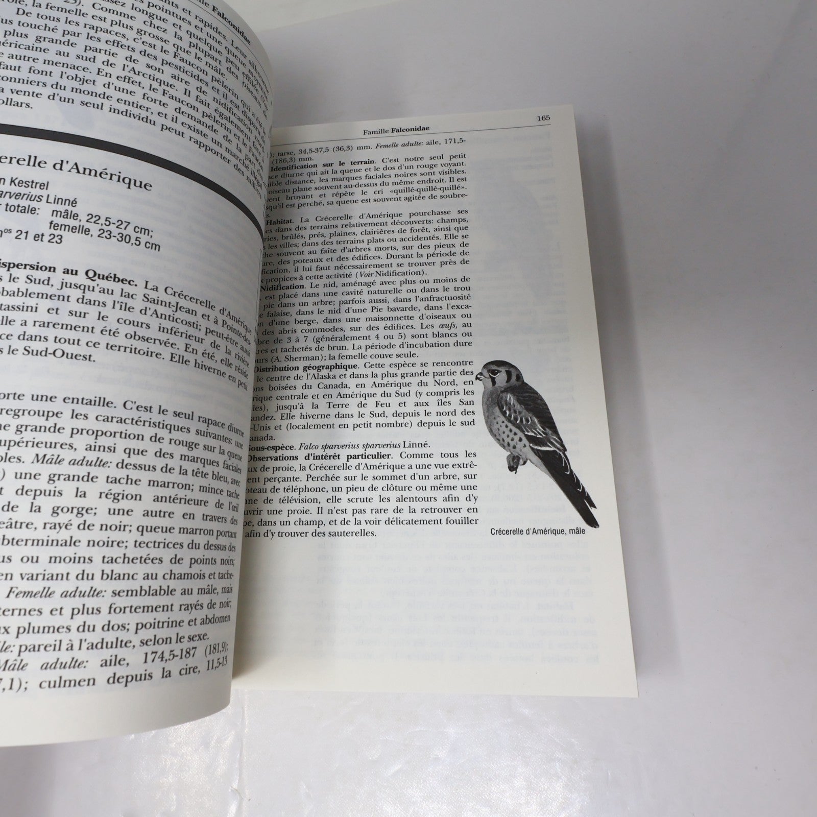 Encyclopédie des Oiseaux du Québec W. Earl Godfrey 1990 PB Ornithologie Animaux