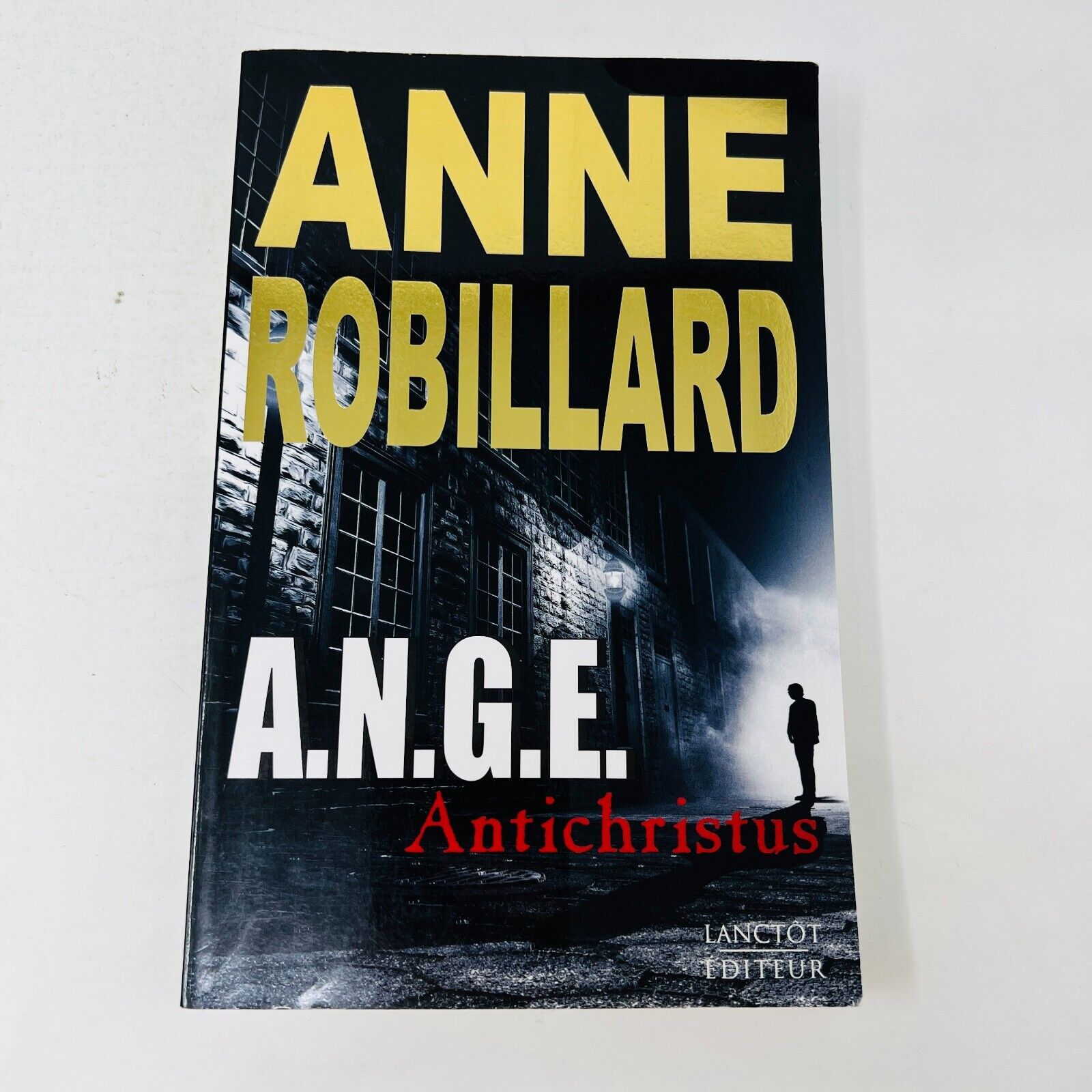 Lot de 10 Livres A.N.G.E #1-10 Anne Robillard Série Complète Antichristus Ange