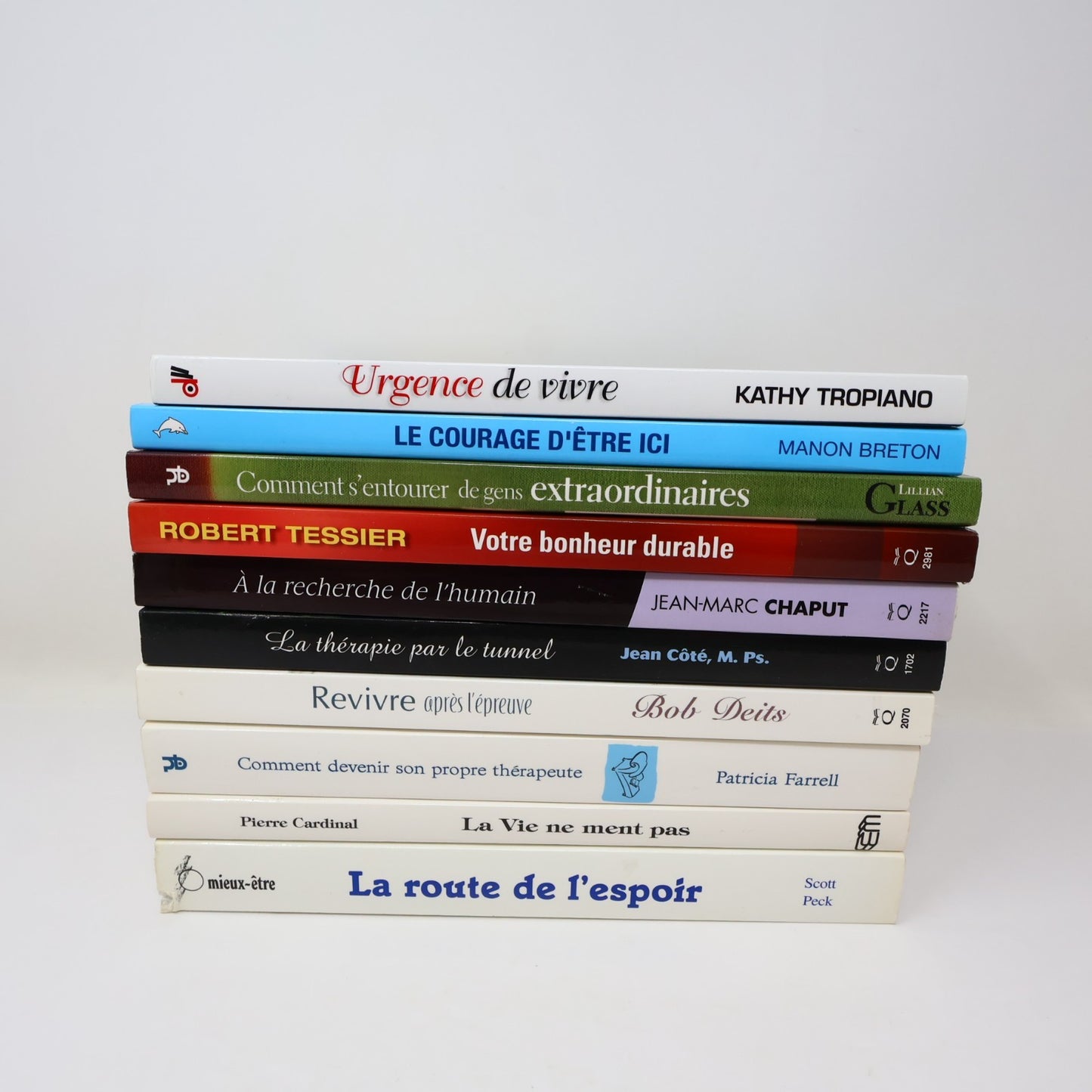 Développement Personnel Santé Mentale Psychologie Lot 10 Livres Français French
