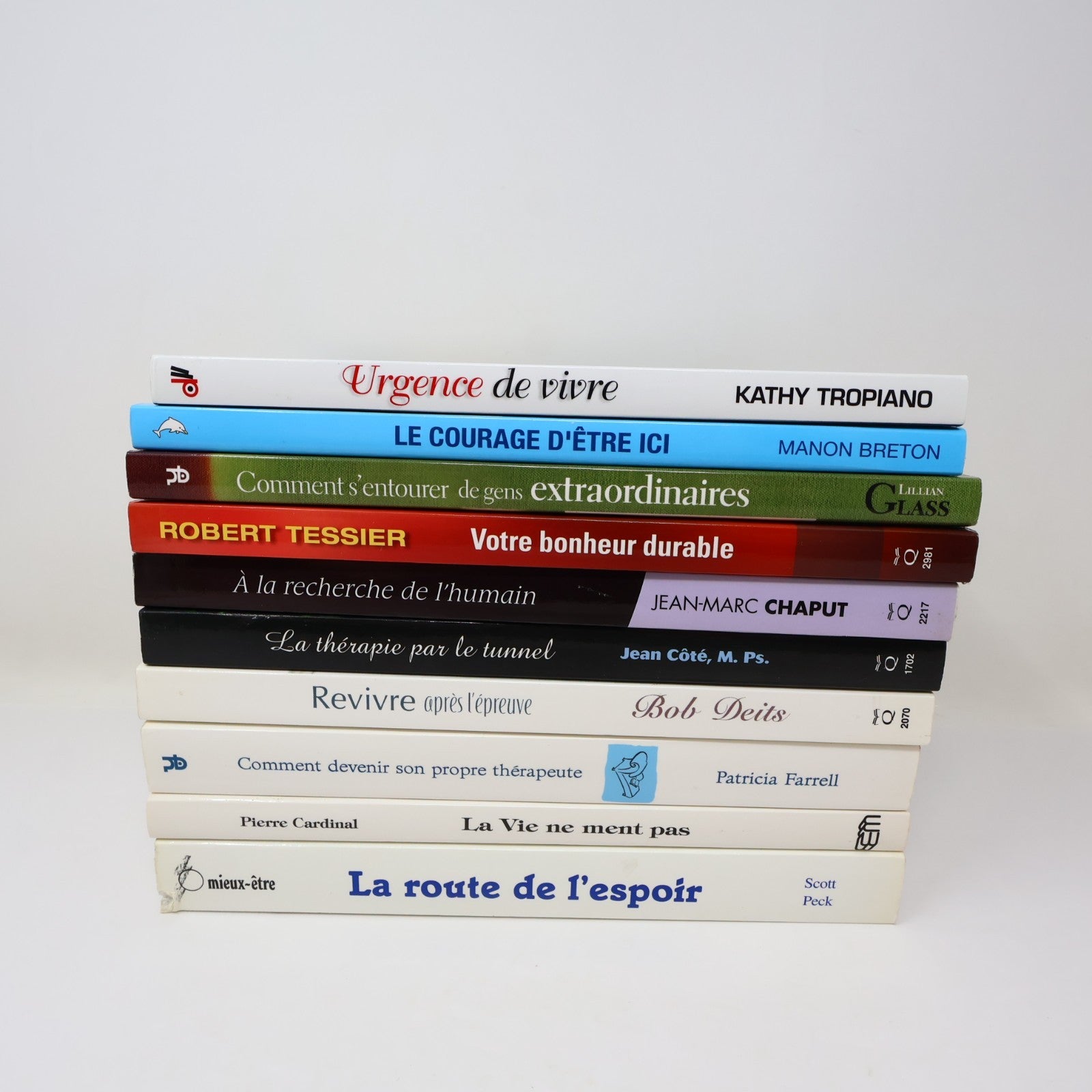 Développement Personnel Santé Mentale Psychologie Lot 10 Livres Français French