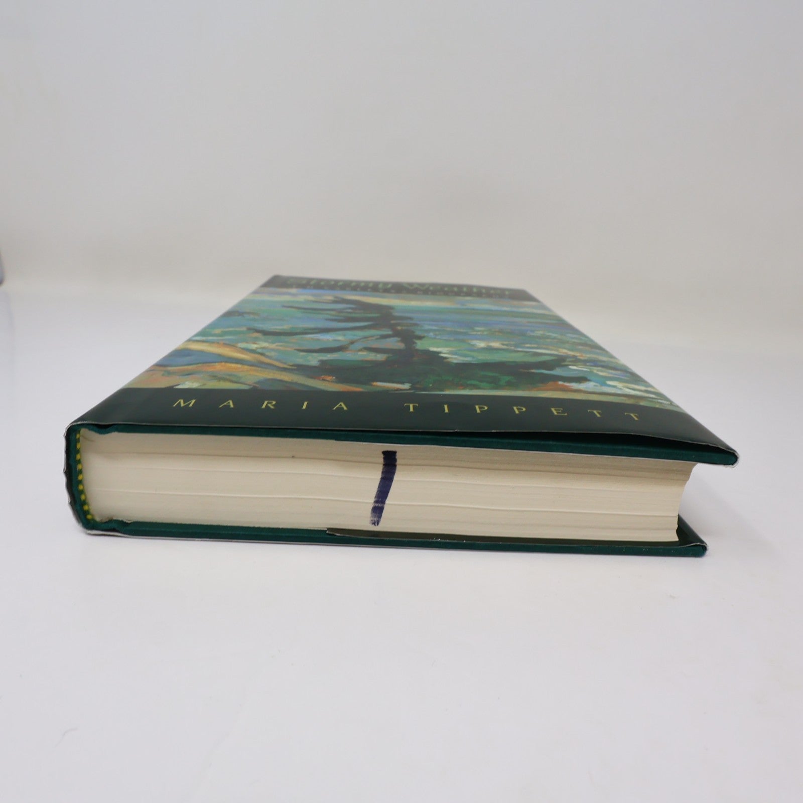 Stormy Weather F.H. Varley a Biography Maria Tippett Mcclelland & Stewart 1998