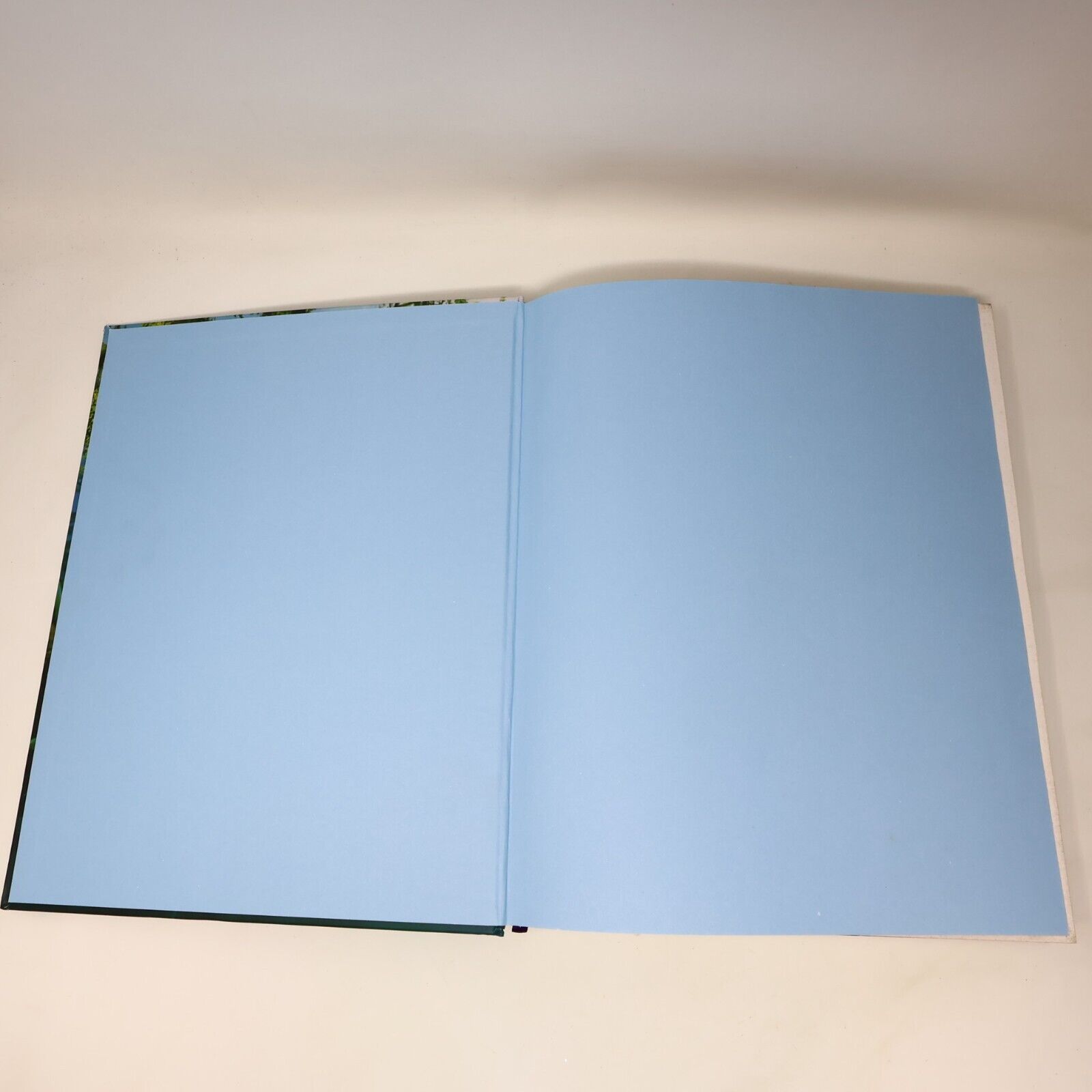 2012 Drawn From Paradise Attenborough/Fuller Birds Art Natural History Harper HC