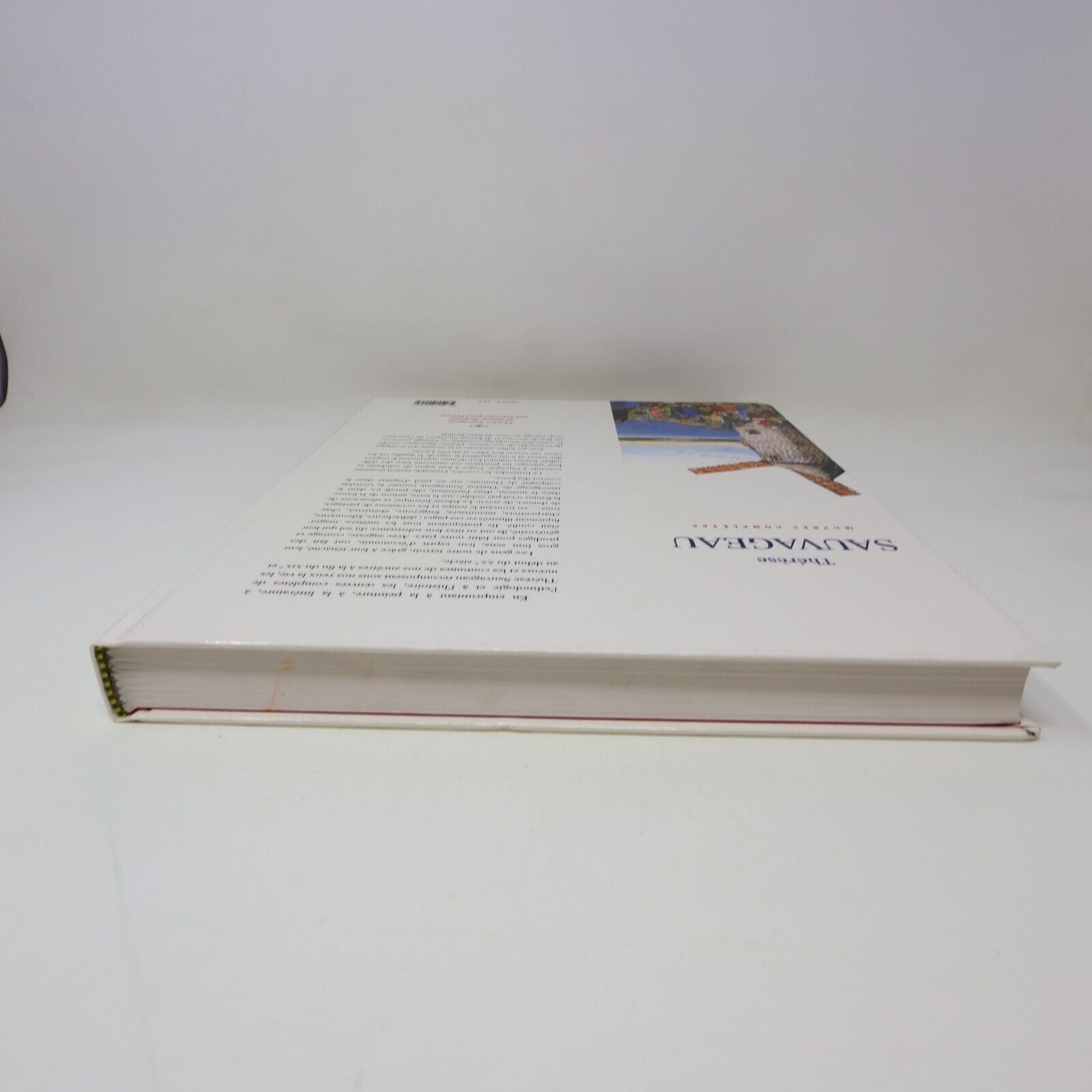 2004 Thérèse Sauvageau Témoin de Notre Passé Oeuvre Complète Art Histoire Canada