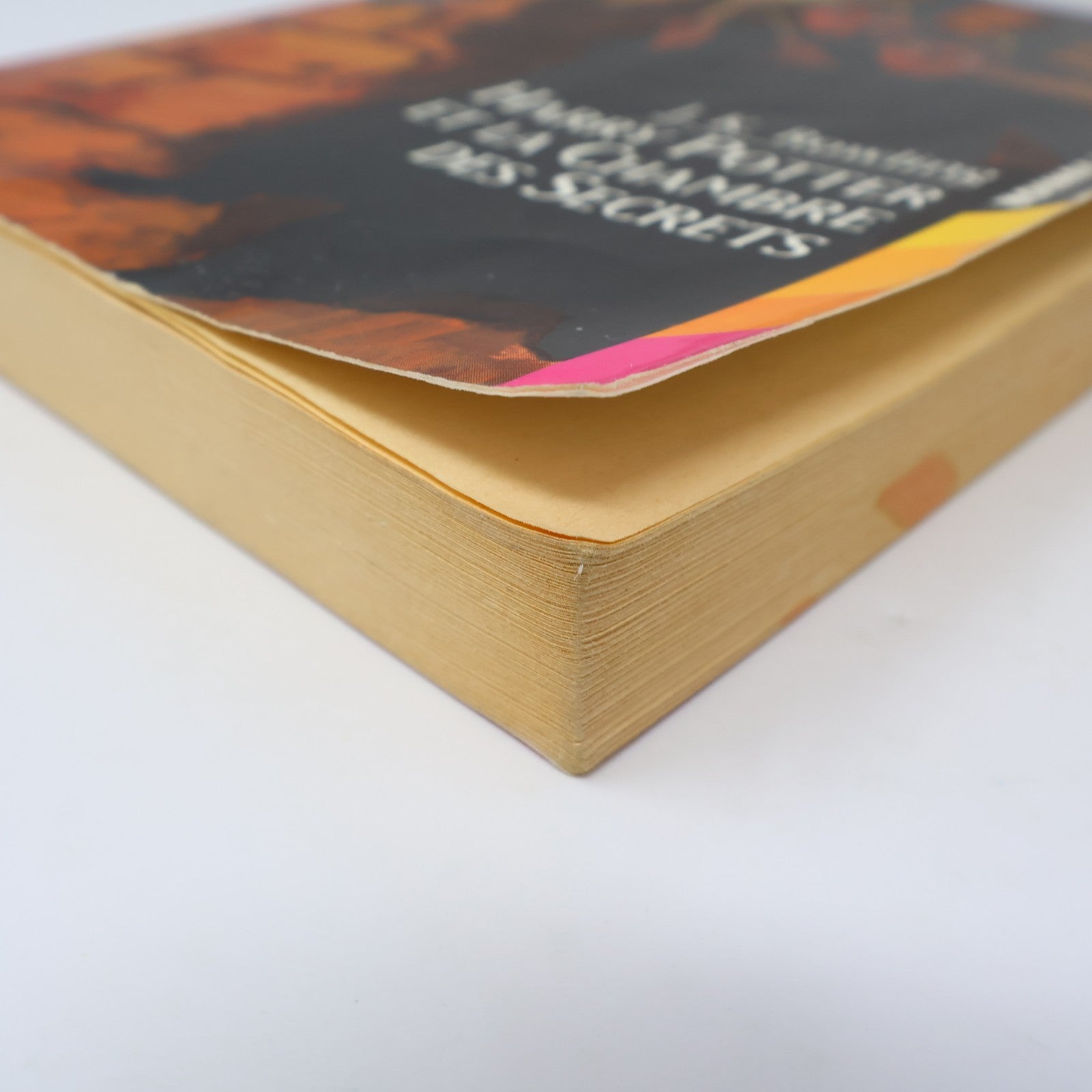 Harry Potter et la Chambre des Secrets Livre 1ère Édition Illustrée Août 1999 PB