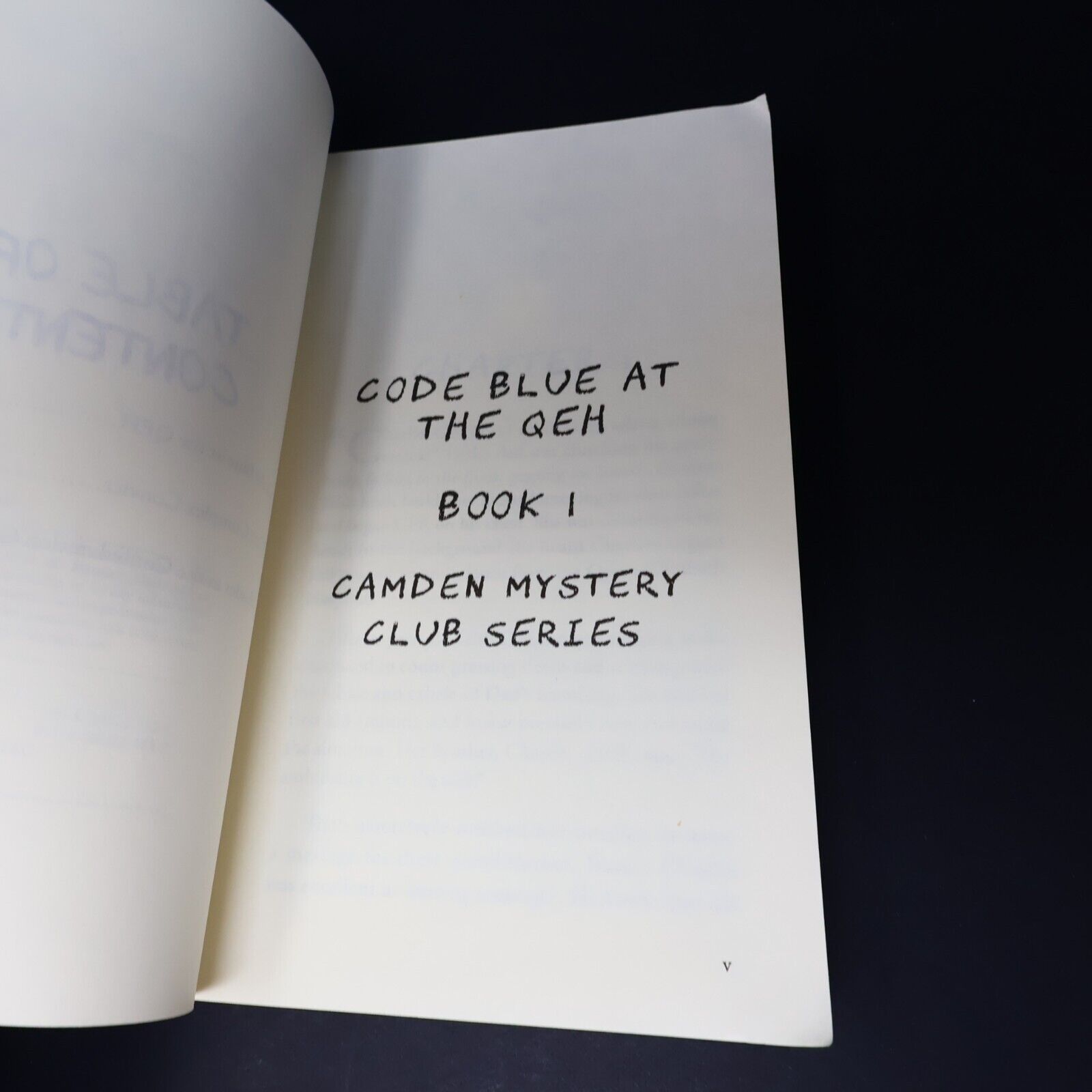 2022 Camden Mystery Club Trilogy Crime by Anne Hotchkis Signed Book PageTurner