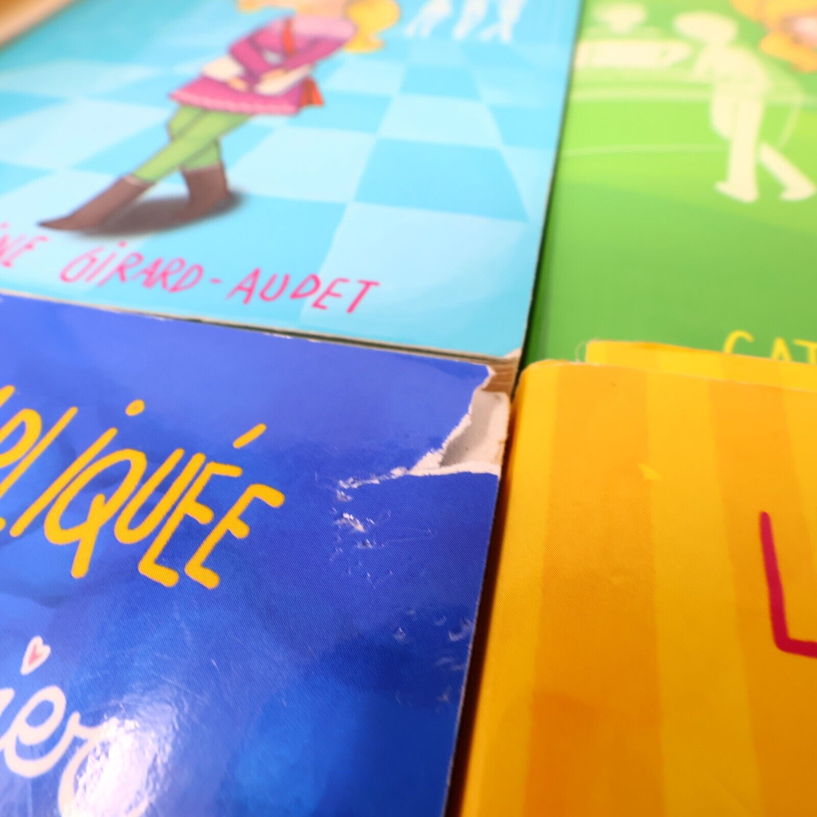 Lot 16 Livres La Vie Compliquée de Léa Olivier Catherine Girard-Audet Français