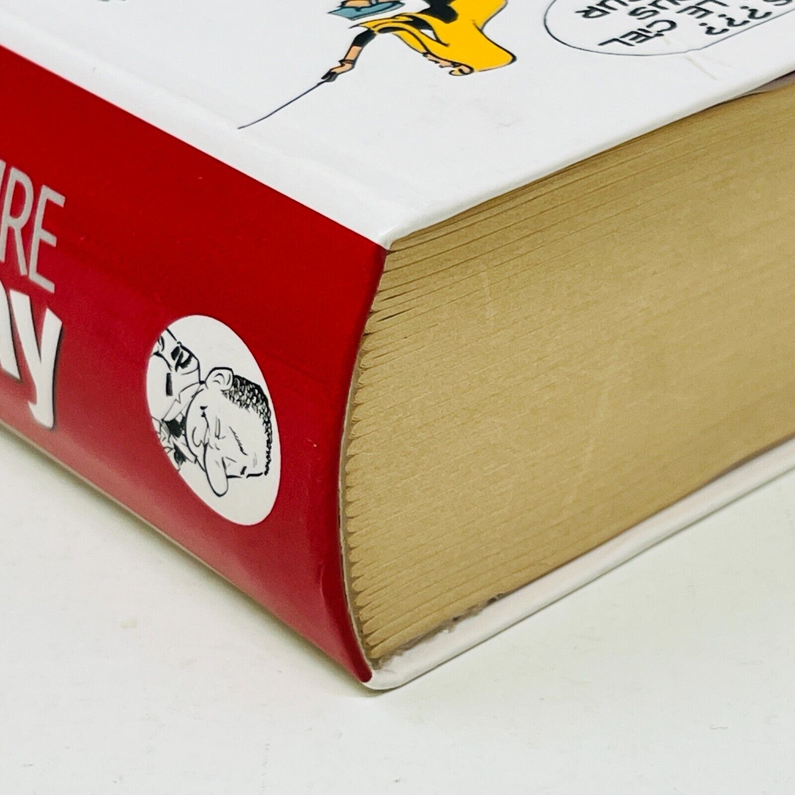 2003 Le Dictionnaire Goscinny JC Lattès Personnages Astérix/Lucky Luke/Nicolas