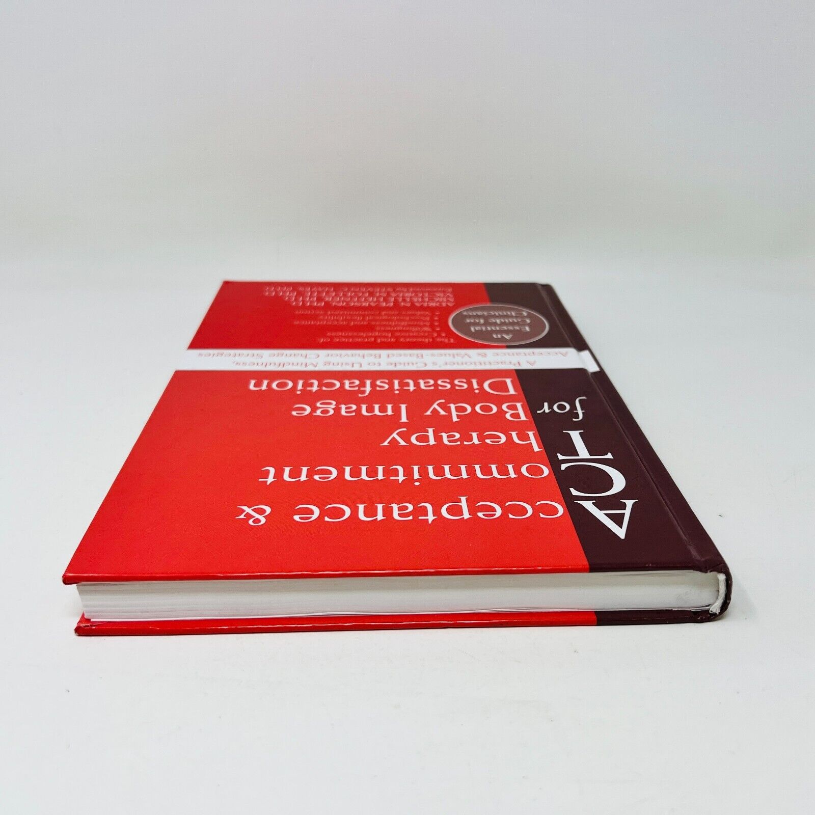 2010 Acceptance and Commitment Therapy for Body Image Dissatisfaction Hardcover
